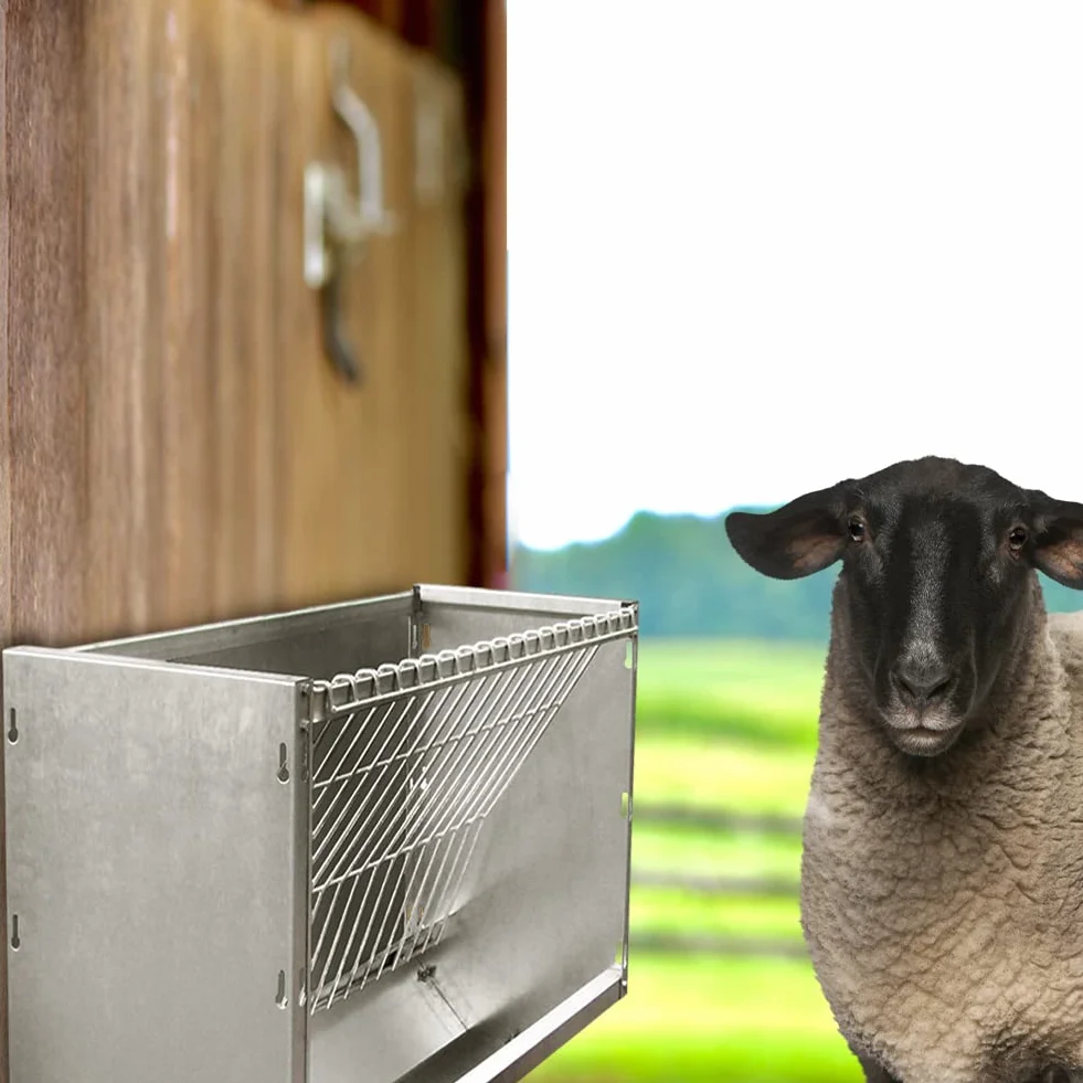 Forrajera de Pared – Comedero para Ovejas, Corderos y Cabras – La Fijación Asegura su Estabilidad – Rejilla para Rellenar Cómodamente y Evitar Despilfarro - Exterior e Interior – Chapa Galvanizada