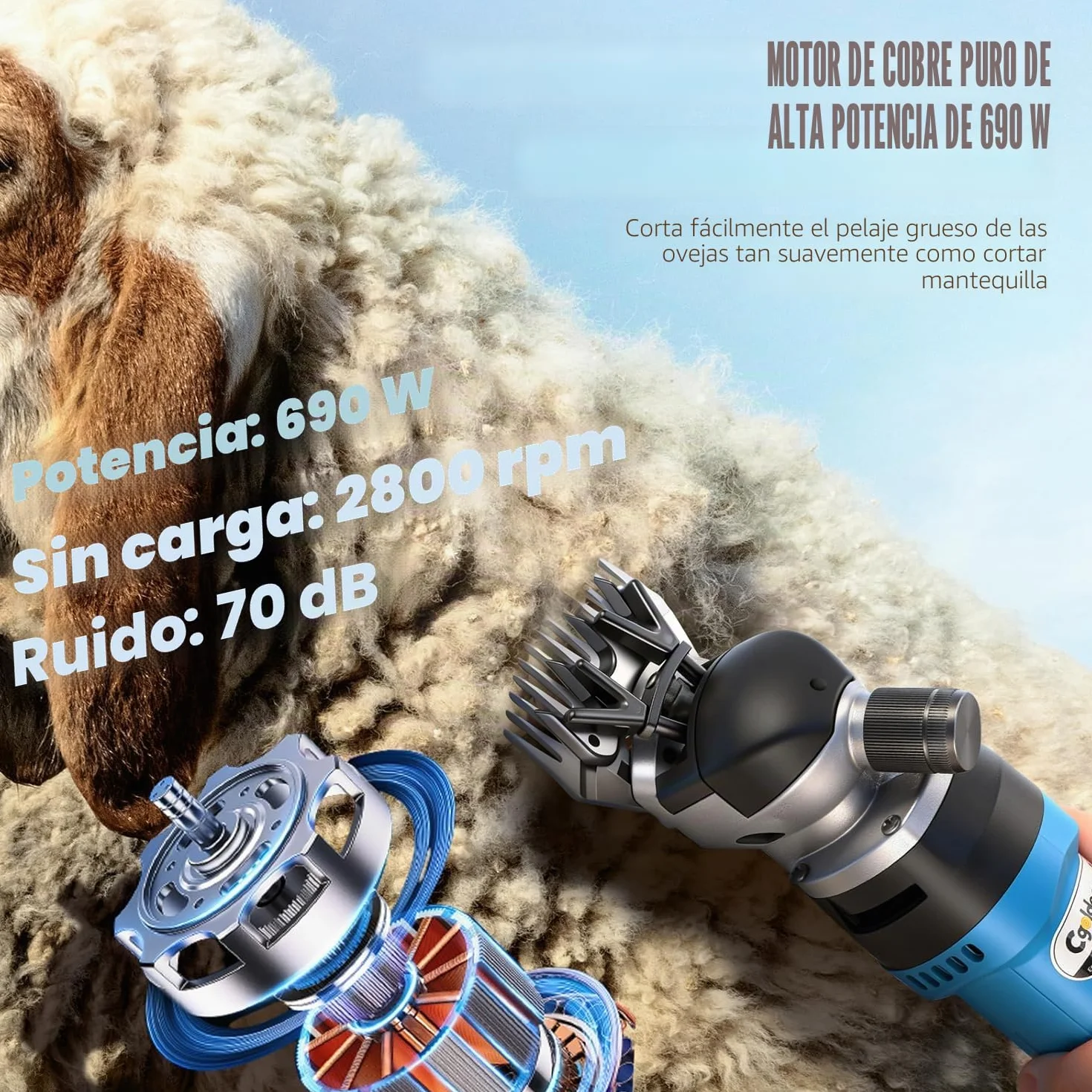Esquiladora para Oveja Profesional 690W 2400RPM CGOLDENWALL, Máquina Esquilar Ovejas Cabra Alpaca con 6 Ajuste de Velocidad, Cable Largo 5m - Aceite lubricante Incluido (Cuchilla Recta de 13 Dientes)