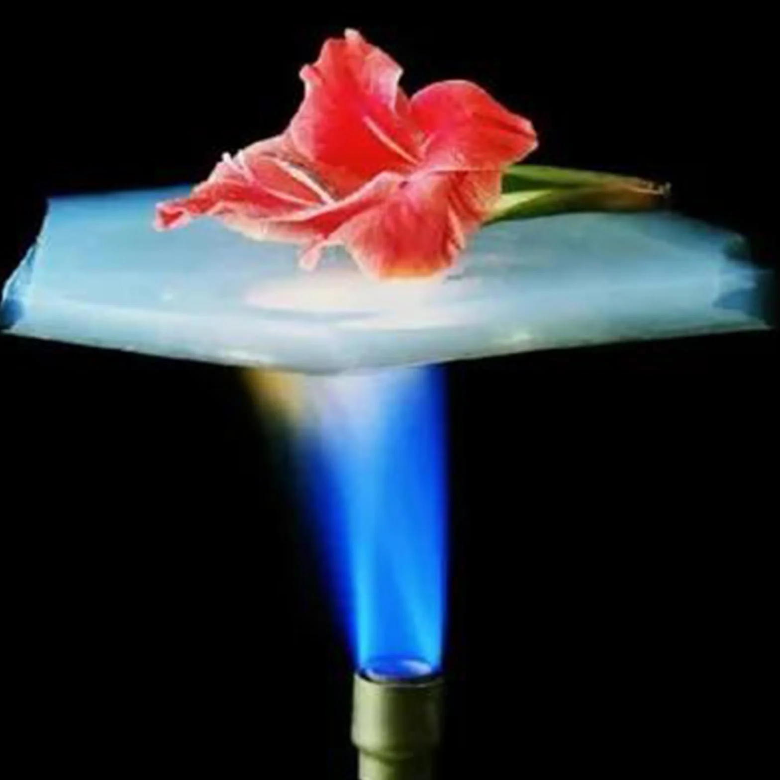 Aerogel Block - Gránulos hidrofóbicos retardantes de llama sólido poroso para educación de niños y regalos de maestros (tamaño de partícula 10-40 mm, 50 g)