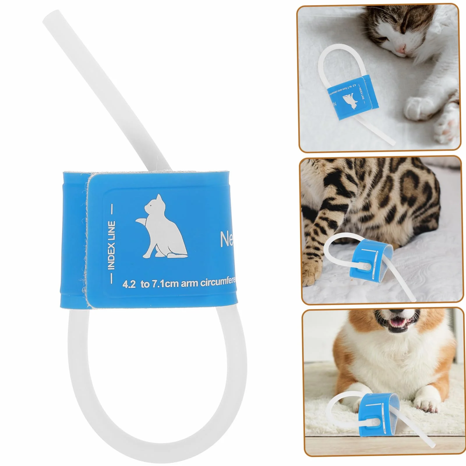 POPETPOP Suministros Veterinarios Reloj Automático Brazalete Tensiómetro Reutilizable Brazalete Arterial para Mascotas Paño Animal Suministros para Mascotas