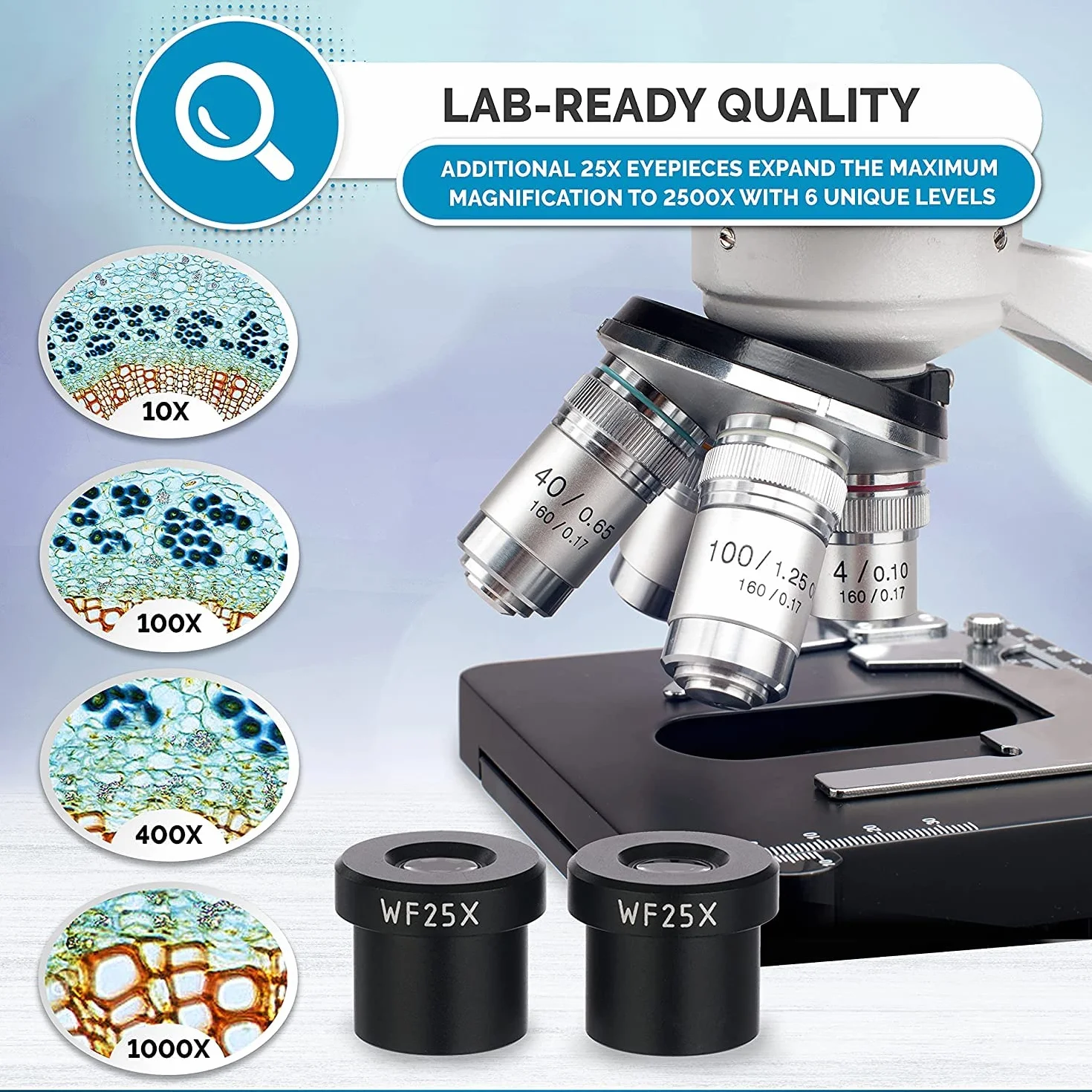 AmScope - Microscopio compuesto binocular de laboratorio de 40X-2500X led con etapa 3D, B120C