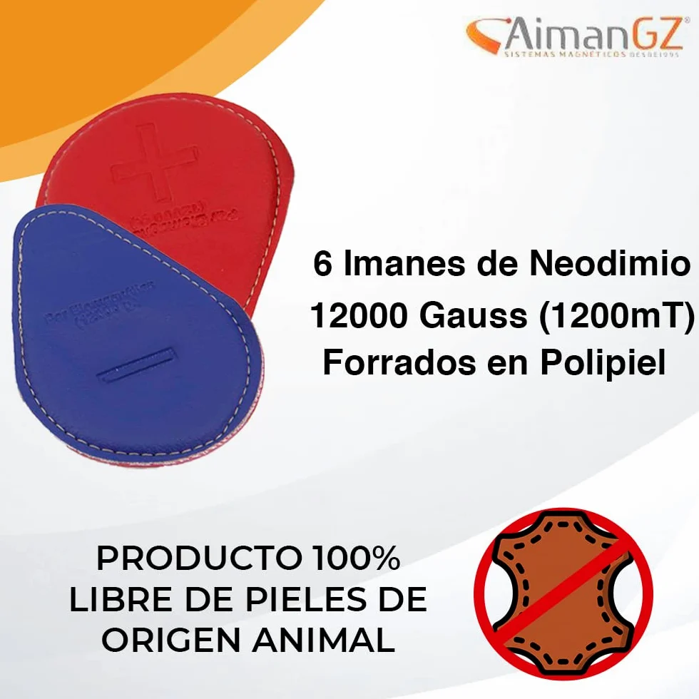 Kit 6 Imanes Biomagnetismo Dr. Goiz – 3 Pares: 1 Grande + 2 Mini – Neodimio 12000 Gauss – Cosidos Mano España – Kit Completo Profesional Terapeutas