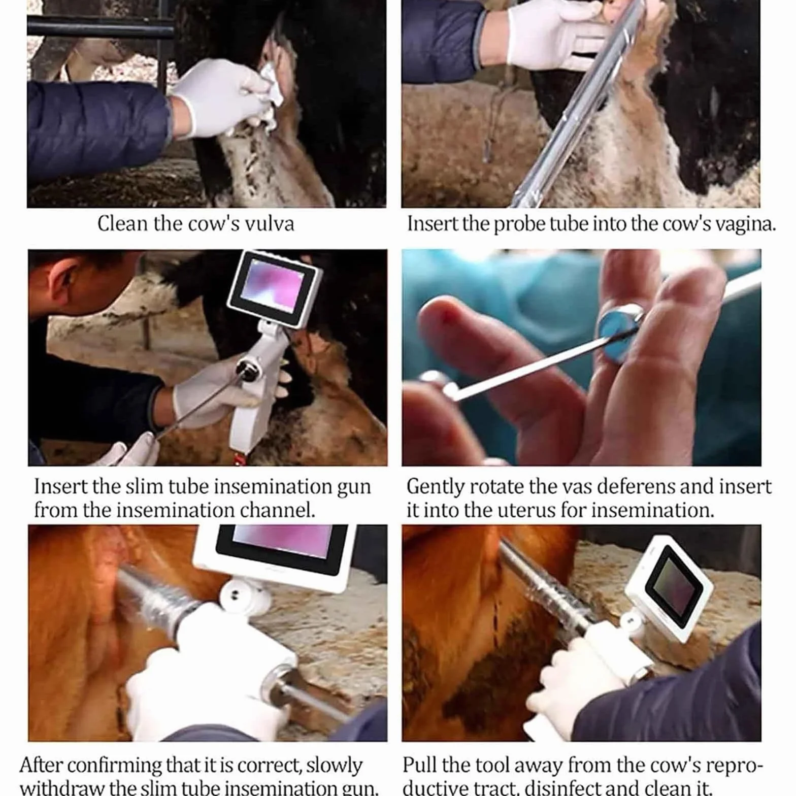 Pistola de inseminación Artificial AI, Pistola de inseminación Visual de Ganado, Dispositivo de cría de Animales, Kit de cría Veterinaria Dispositivo de inseminación Artificial de Vaca