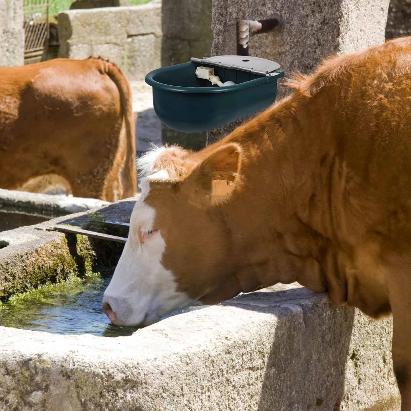 SHINEOFI Bebedero Automático para Animales de Plástico Resistente con Válvula de Flotador y Tubo de Acero Inoxidable de 80 CM para Caballos Vacas Cabras Ovejas y Perros Abrevadero