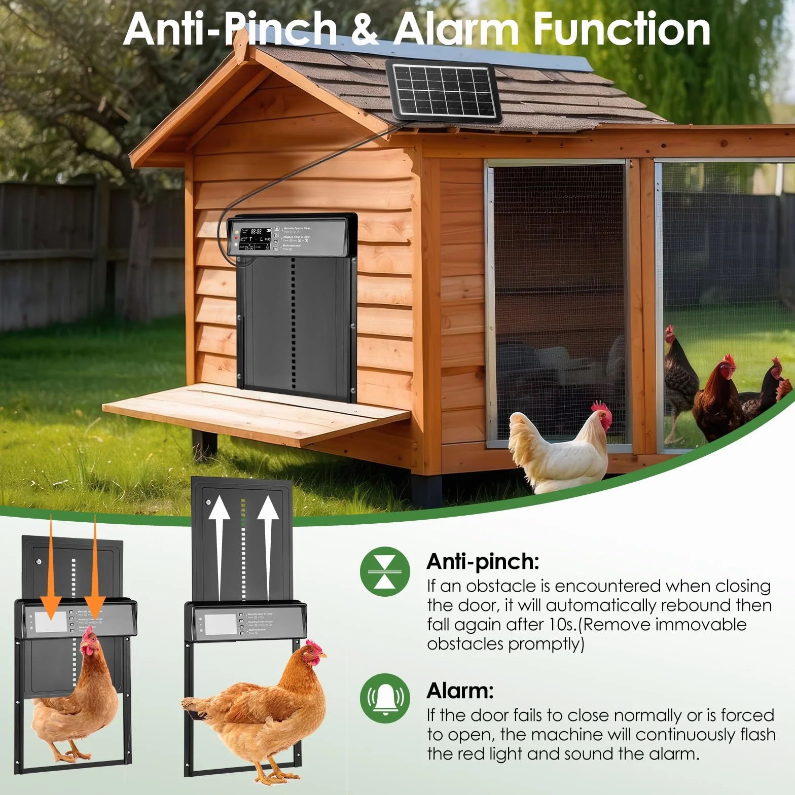 Puerta automática de gallinero solar IP45 aluminio con mando a distancia temporizador LED