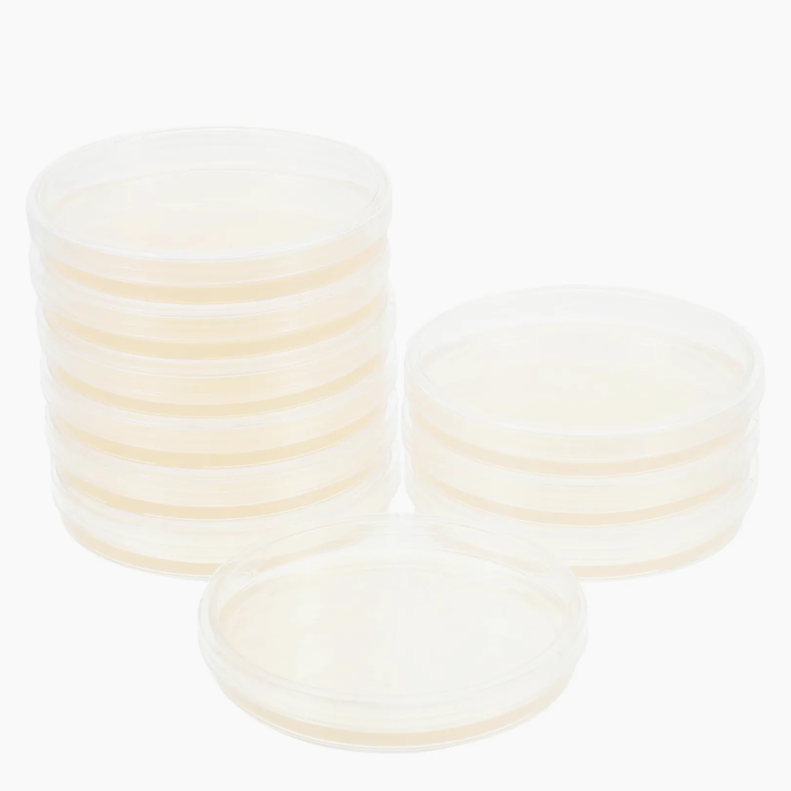 Placas de Petri de Agar Pre-vertido 10piezas 9cm Lb para Aislamiento | Suministros para Experimentos, Placas de Agar para Laboratorio, Decoracion Colegio