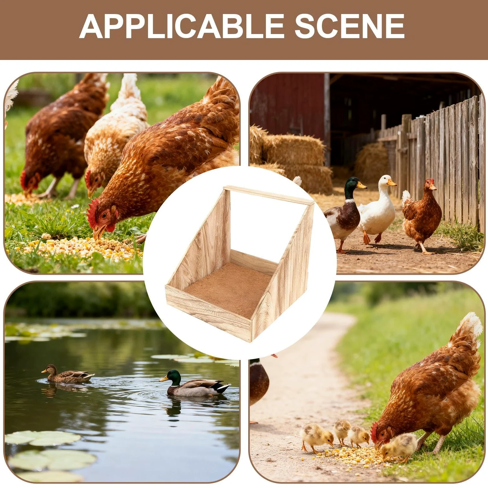 Cajas De Puesta para Gallinas De Madera con Almohadillas Y Percha para | Cajas De Para La Puesta De Huevos Para Gallinas En Gallineros Durante Invierno Para Aves De Corral Con Percha En Granja Y C