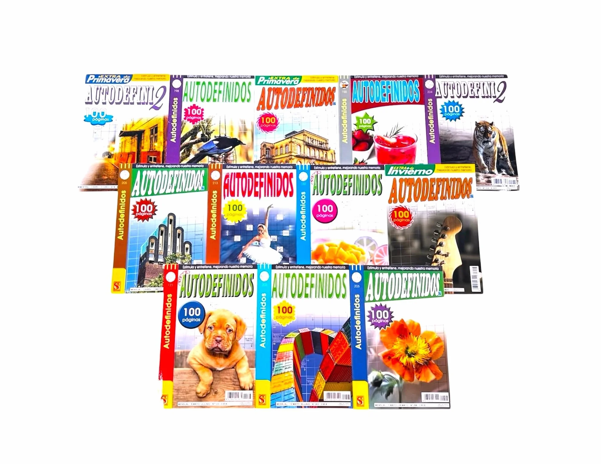 Autodefinidos Variados Pack 4 Libros Surtidos Entretenimiento Desafío Adultos Edición Actualizada