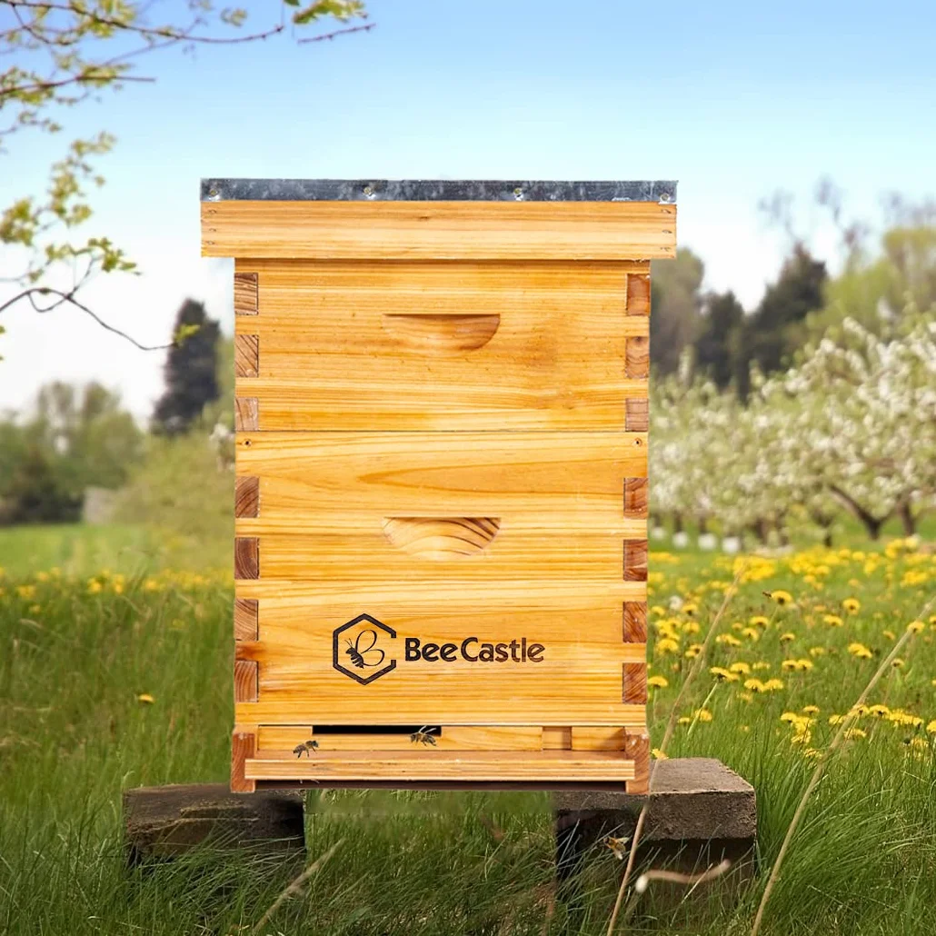 BeeCastle Colmena de abeja Langstroth de 8 marcos recubierta con cera de abejas, incluye marcos de colmena y bases enceradas (1 caja profunda y 1 caja mediana)