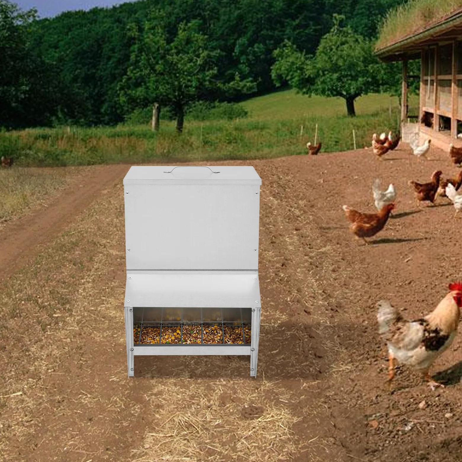 Alimentador de aves de corral de 25 L, 35 x 26 x 54,5 cm, comedero automático para pollos, gansos y patos