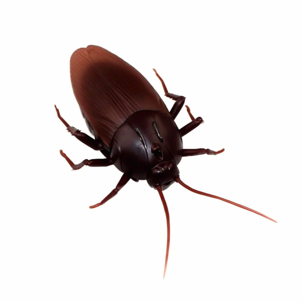 Cucaracha eléctrica RC Control Remoto Infrarrojos para niños Halloween