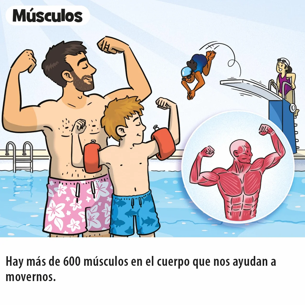 BrainBox Pocket El Cuerpo Juego de Cartas a Partir de 6 Años 1 Jugador 10 Minutos Español