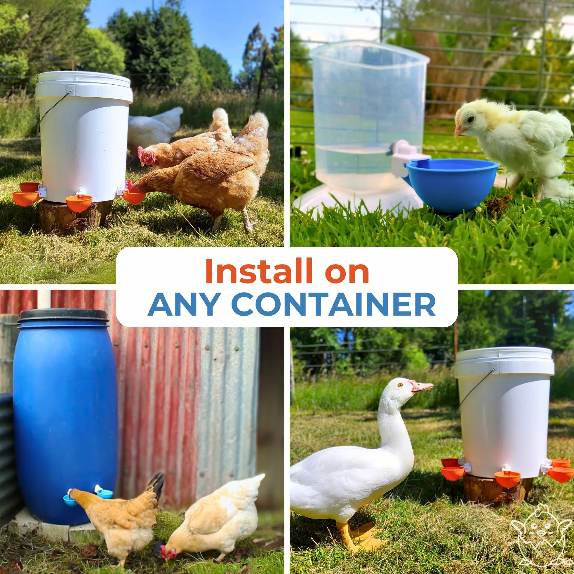 Lil Clucker - Juego de 5 Tazas de Agua automáticas Grandes para Pollos, Patos, Gansos, Pavos y Conejos, Color Azul