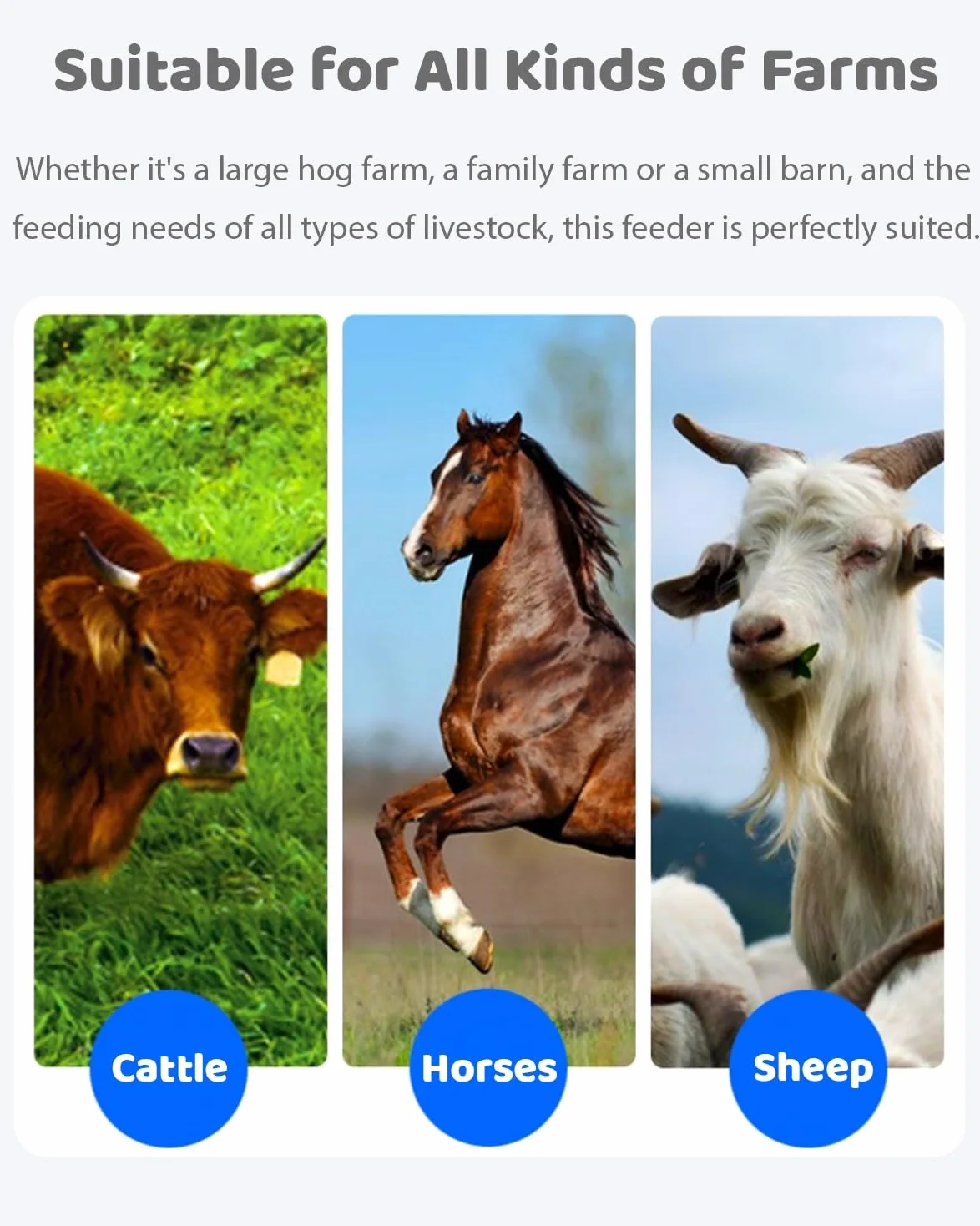 Comedero para Cerdos Comedero y Bebedero de Grano para Ovejas, Gran Capacidad (paquete de 2 O 4 Unidades), Comedero para Terneros, Cerdos y Ganado, Fácil de Limpiar, Comedero para Caballos y Alpacas.(