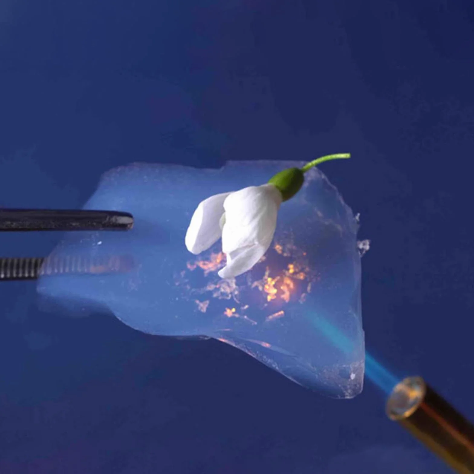 Aerogel Block - Gránulos hidrofóbicos retardantes de llama sólido poroso para educación de niños y regalos de maestros (tamaño de partícula 10-40 mm, 50 g)