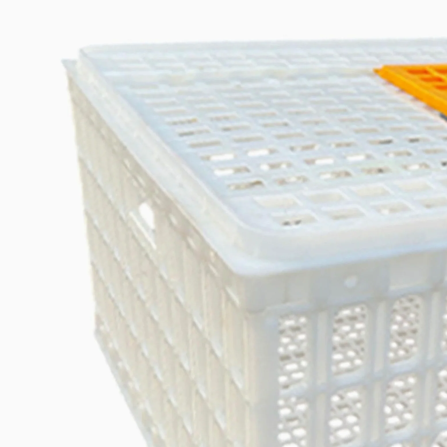 Jaula Transportadora para Aves de Corral, Jaula Transportadora para Pollos Adultos, Gansos Y Otras Aves, Blanco Altura 33cm