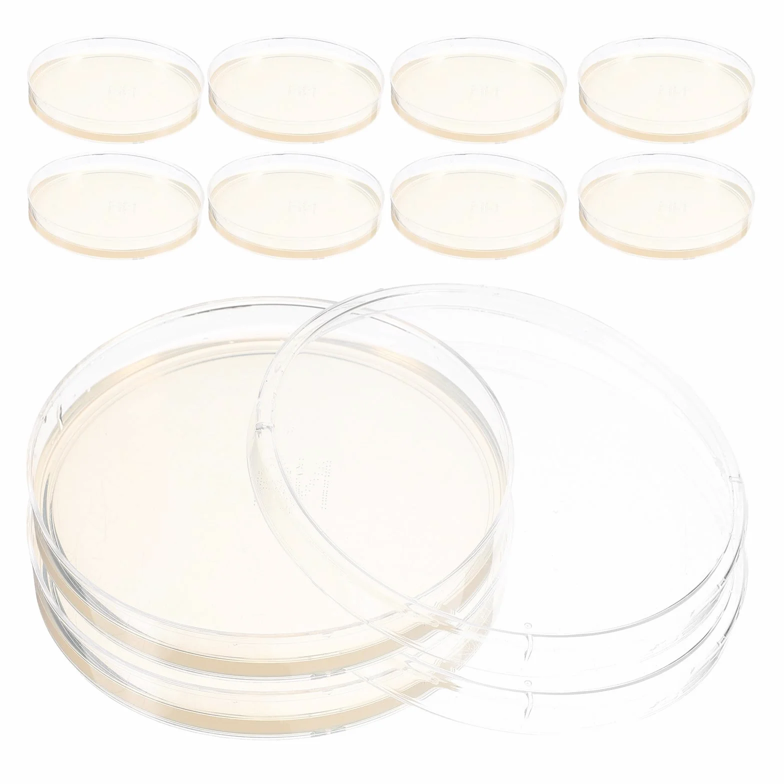 Didiseaon 10 placas de agar preparadas: placas de Petri con agar de 90 mm, kit de cultivo de placas de Petri para experimentos científicos de laboratorio