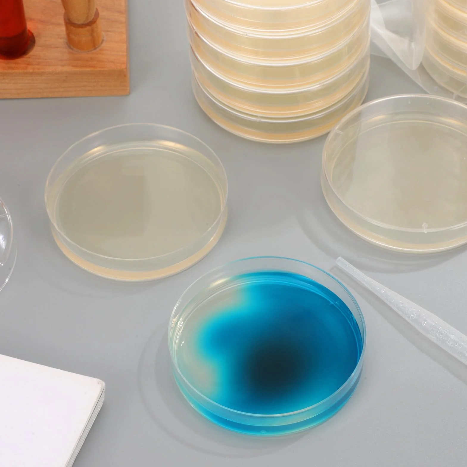 Placas de Petri con Agar Prevertido, Material de Cultivo Microbiológico, Crecimiento Rápido para Laboratorio