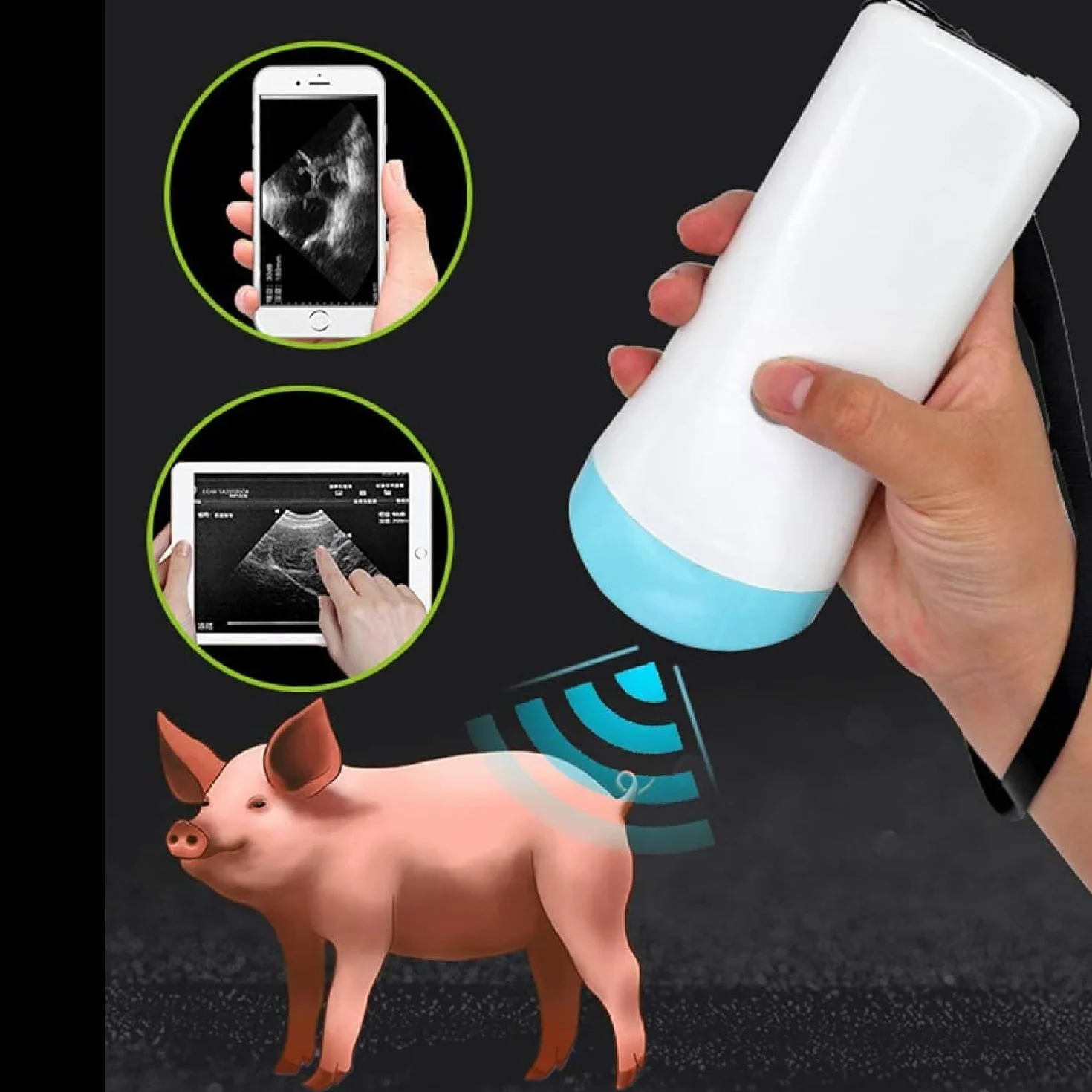 Escáner de ultrasonido inalámbrico portátil, sonda de instrumento de diagnóstico de embarazo veterinario, teléfonos inteligentes compatibles, tableta, for cerdos y ovejas (teléfono móvil no incluido)