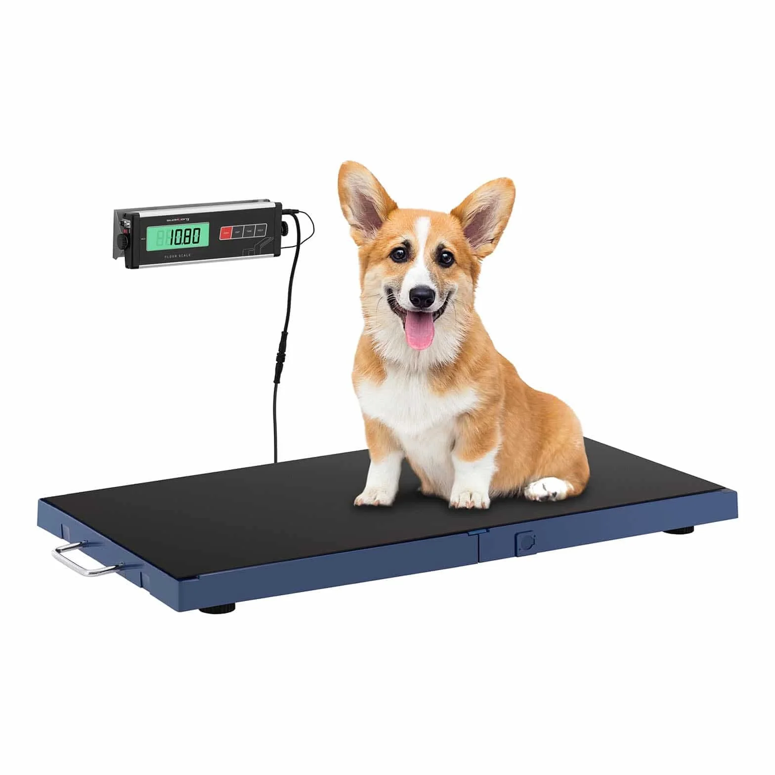 Steinberg Systems SBS-PS-1800 - Báscula para animales (180 kg/50 g, antideslizante, pantalla LCD, báscula para animales pequeños, báscula veterinaria)