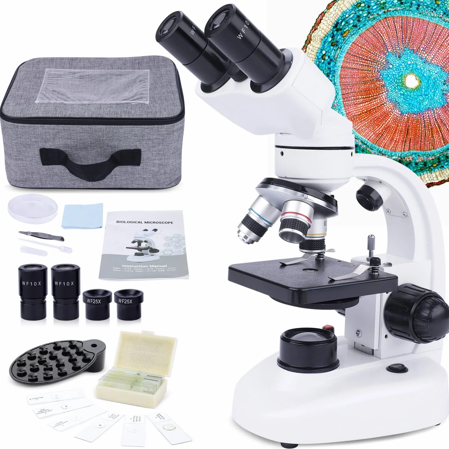 MAXLAPTER Microscopio Binocular para Adultos y Niños - Juego de Microscopio Compuesto 40X-1000X con Muestras y Adaptador de Teléfono Móvil, Adecuado para Uso Escolar en Casa