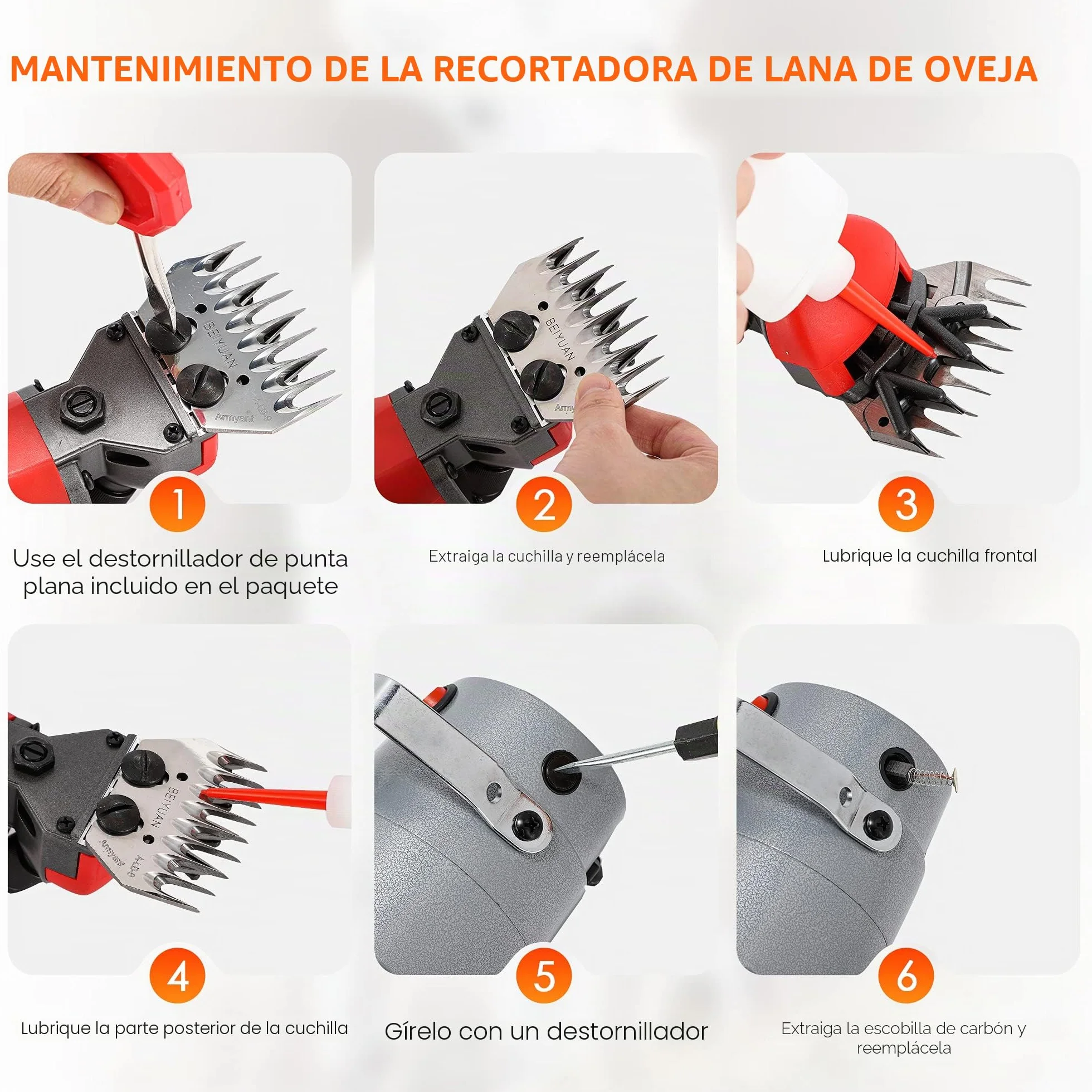 CGOLDENWALL Máquina De Esquilar Eléctrica 750w, Motor De Cobre De Alta Rendimiento 2400rpm, 4 Tipos De Cuchillas (Rectas 9&13/Curvas 9&13) Para Oveja, Cabra, Caballo, Ternera, Alpaca, Camello