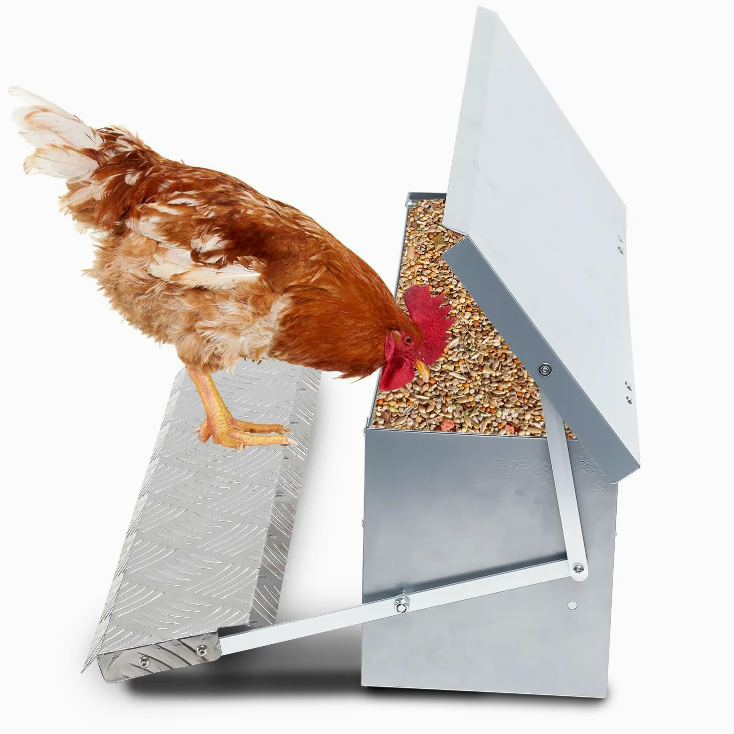 3 comederos automáticos para pollos, 5 kg, con tapa, pedal automático, comedero automático, comedero para pollos, resistente al agua