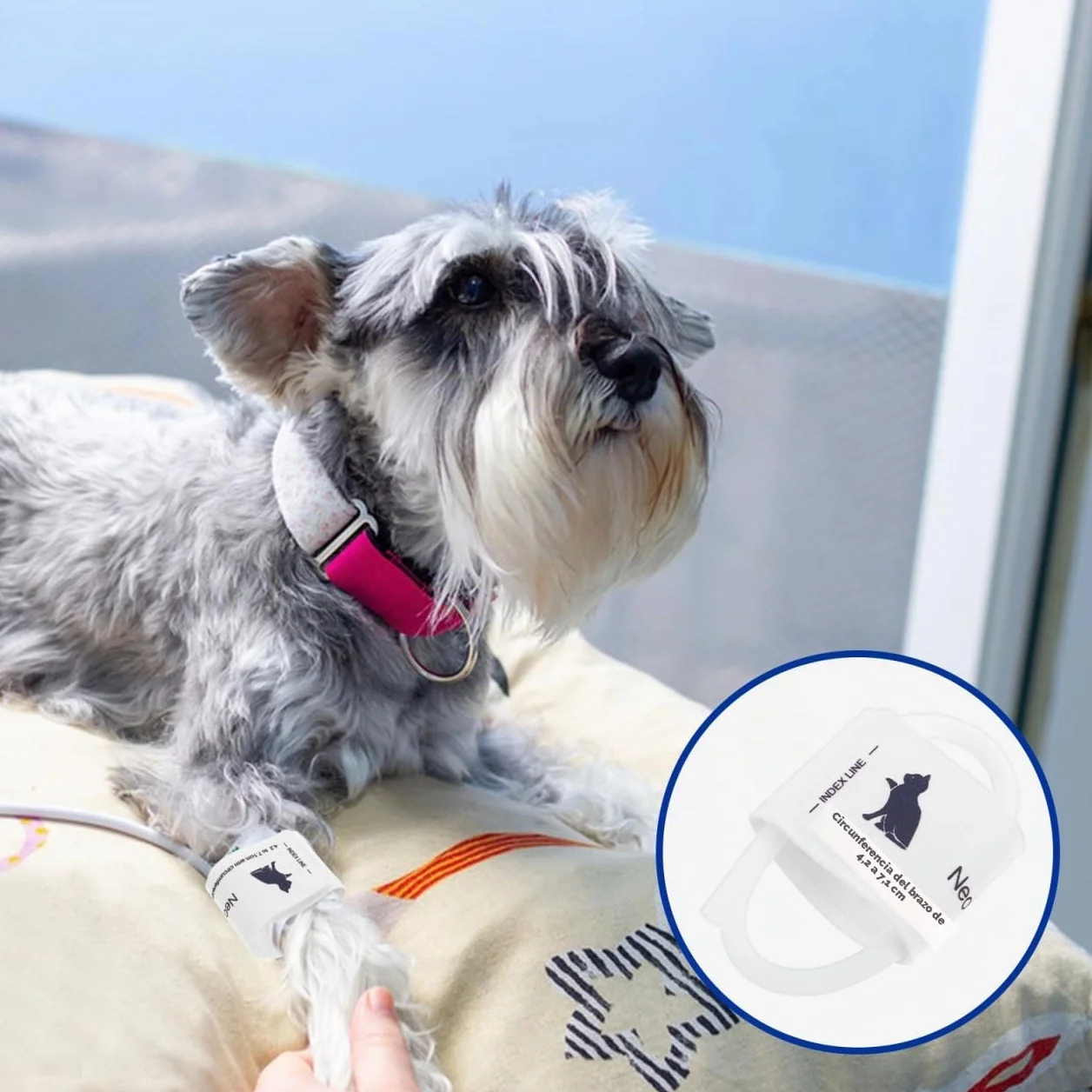POPETPOP Manguito de presión arterial para animales, tamaño universal, manguito reutilizable de tela no tejida suave para gatos y perros, monitoreo preciso en uso doméstico