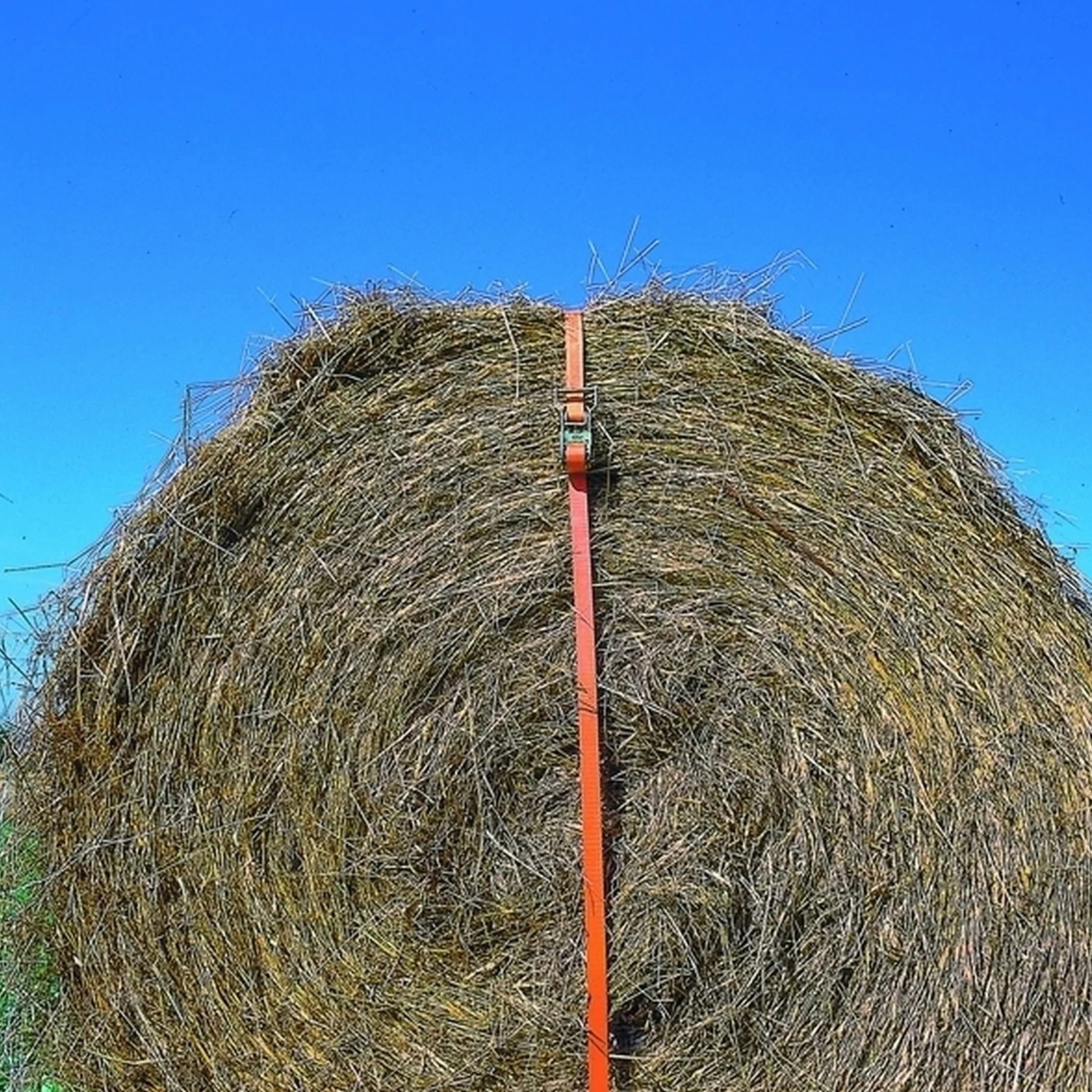 Kerbl Correa de amarre con trinquete 50 mm 8 m 5000 kg