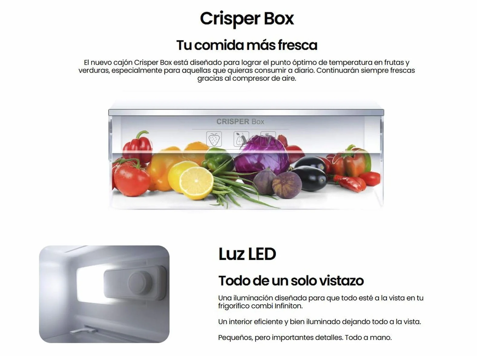 INFINITON Frigorifico Dos Puertas FG-A145B 200 Litros 143 cm Defrost LED Interior Blanco