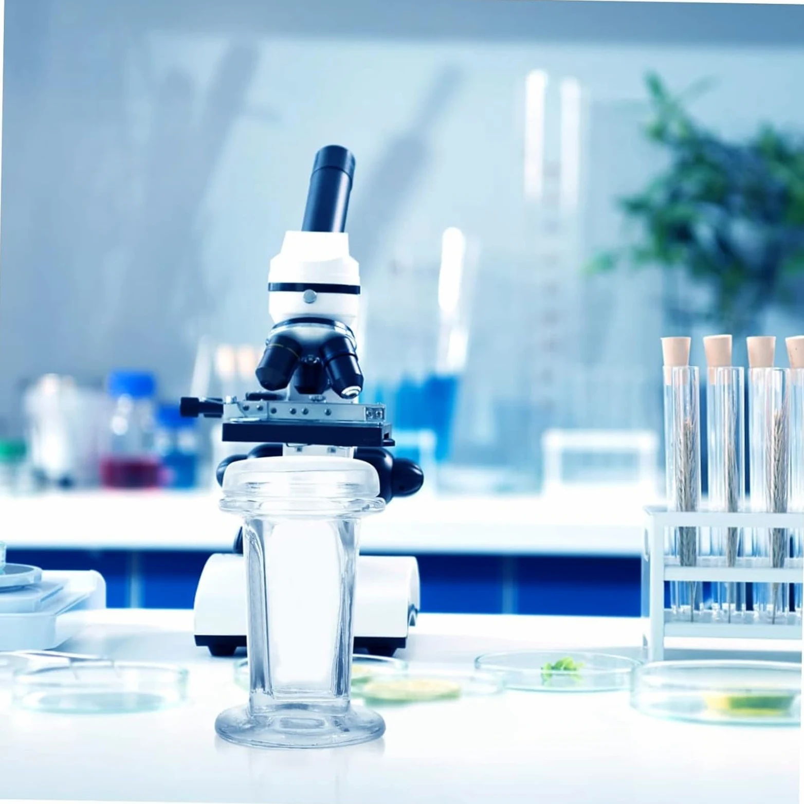 Frasco de Vidrio para tinción de patología, Redondo, Cuadrado, Boca esmerilada, para Laboratorio, con Tapa, de Alta Transparencia, para tinción de portaobjetos, para tinción