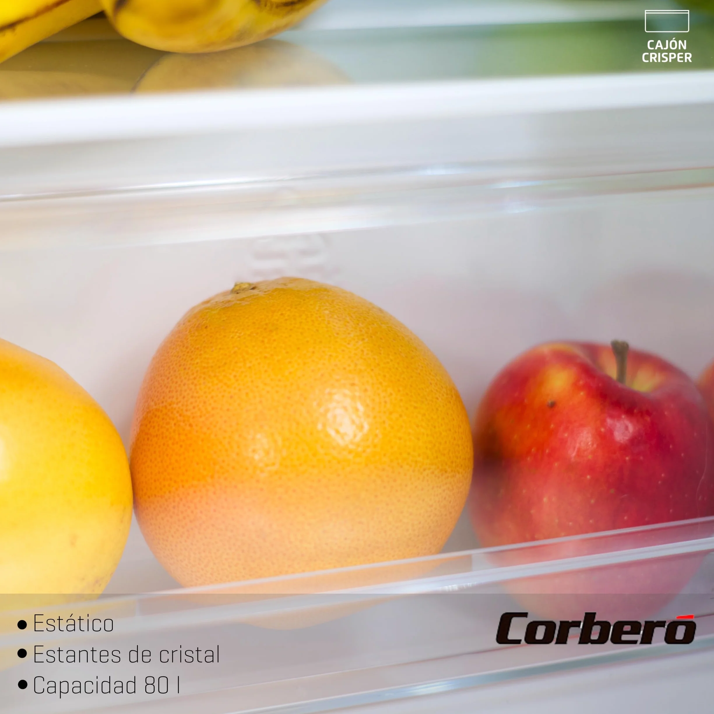 Corberó Frigorífico 1 Puerta CF1PM8024 80L+12L Congelador 84.5 cm Blanco