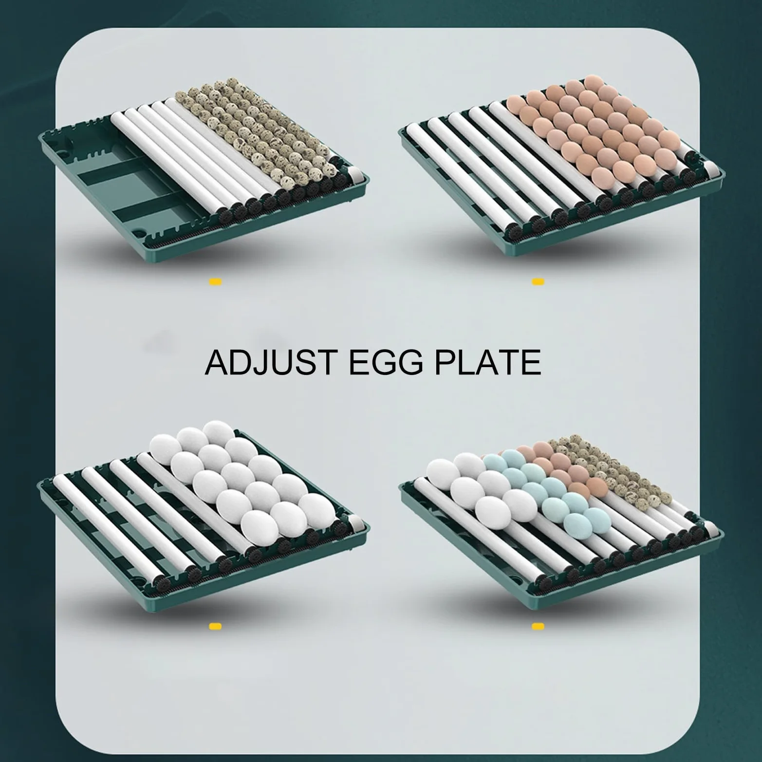 Controlador de Incubadora de Huevos, Controlador de Temperatura de Incubadora de Fácil Observación, Luz LED con Giro Automático para Laboratorios (Enchufe europeo 220V 38 huevos)