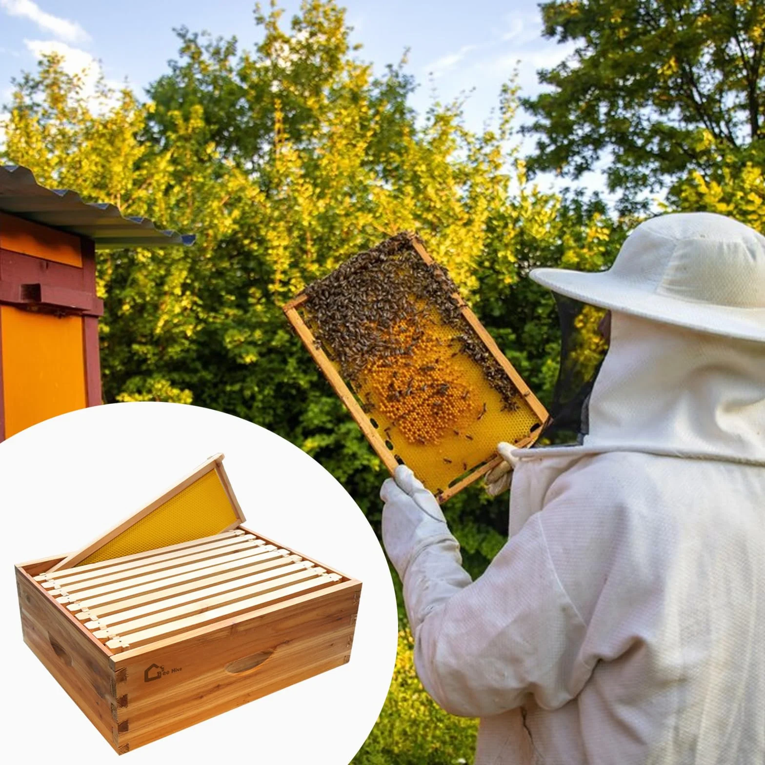 Kit de inicio de colmena, caja de núcleo con 10 panales medianos, colmena de madera maciza con marco de madera y base encerada, caja de colmena sostenible suministros de apicultura, colmena 100%