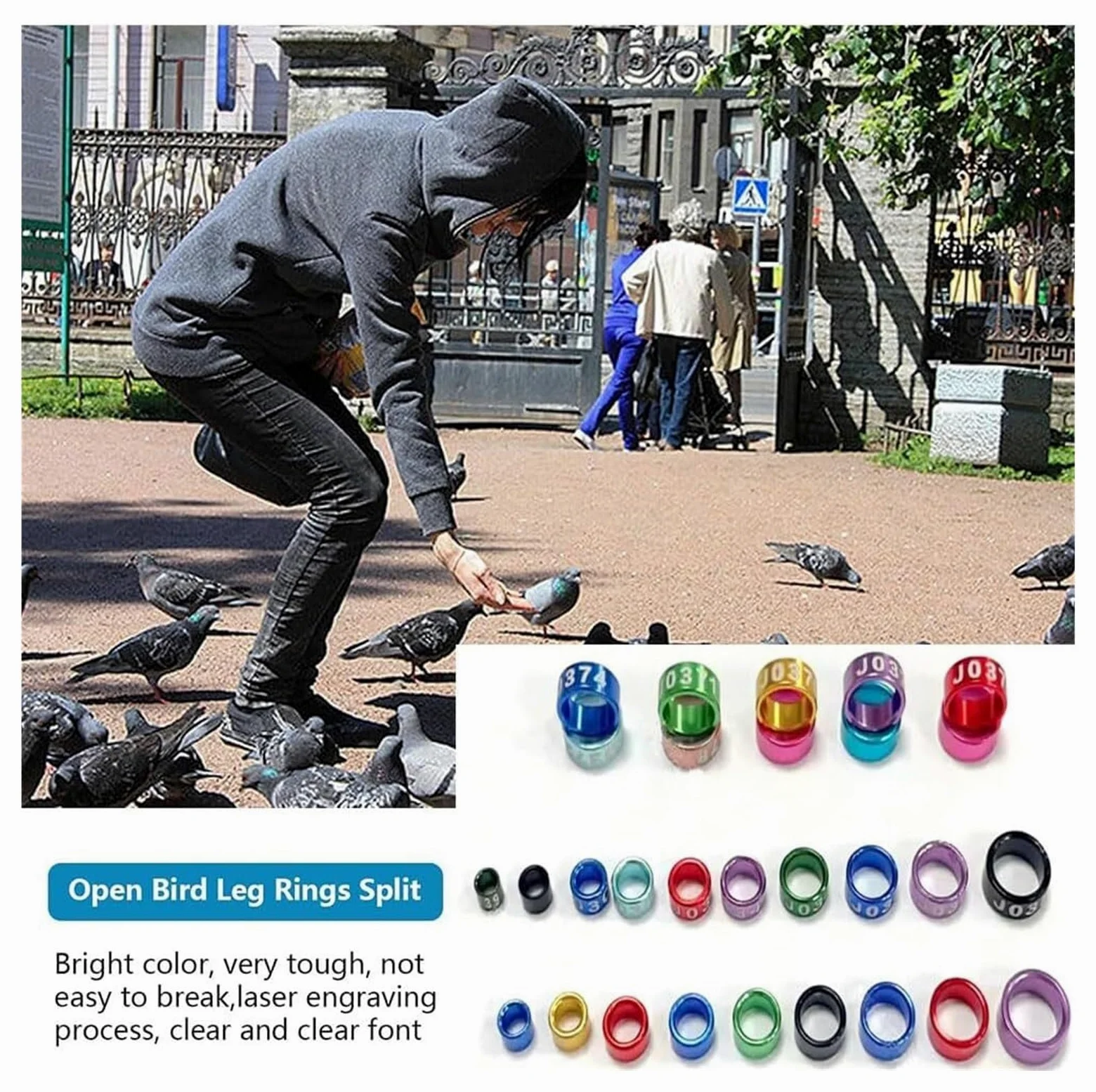 Anillos de aluminio for patas de pájaros, multicolor, 4,0-8,0 mm, 50/100/150/200 piezas(Mixed Colors8.0mm,200pc)