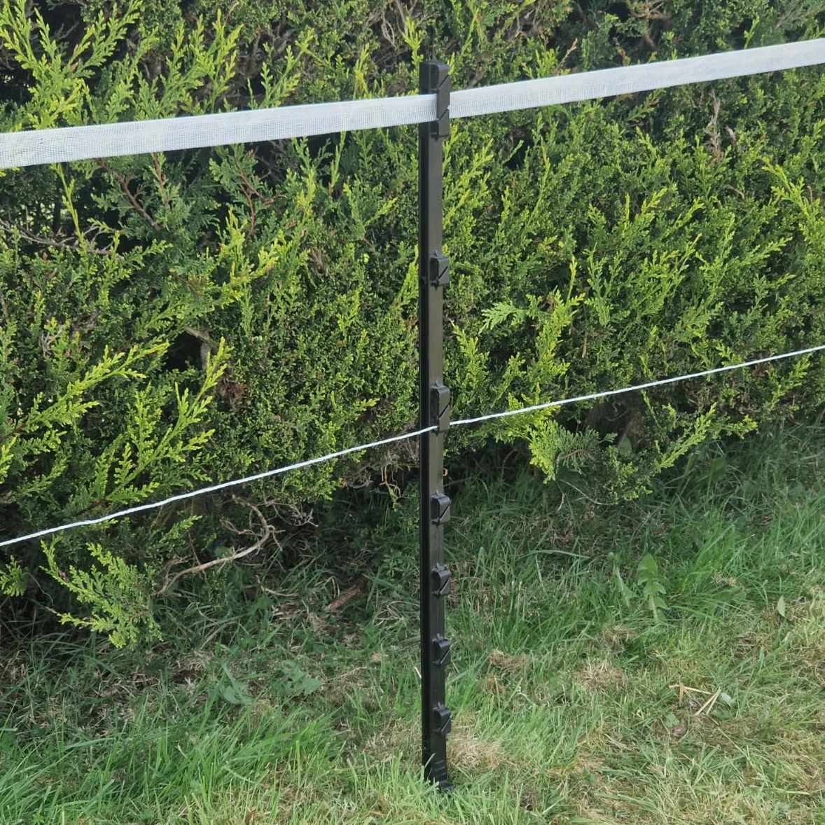 Postes de polietileno de 3 pies de alto, 88 cm de alto, 3 pies, 6 pulgadas, estaca de esgrima de caballo (60)
