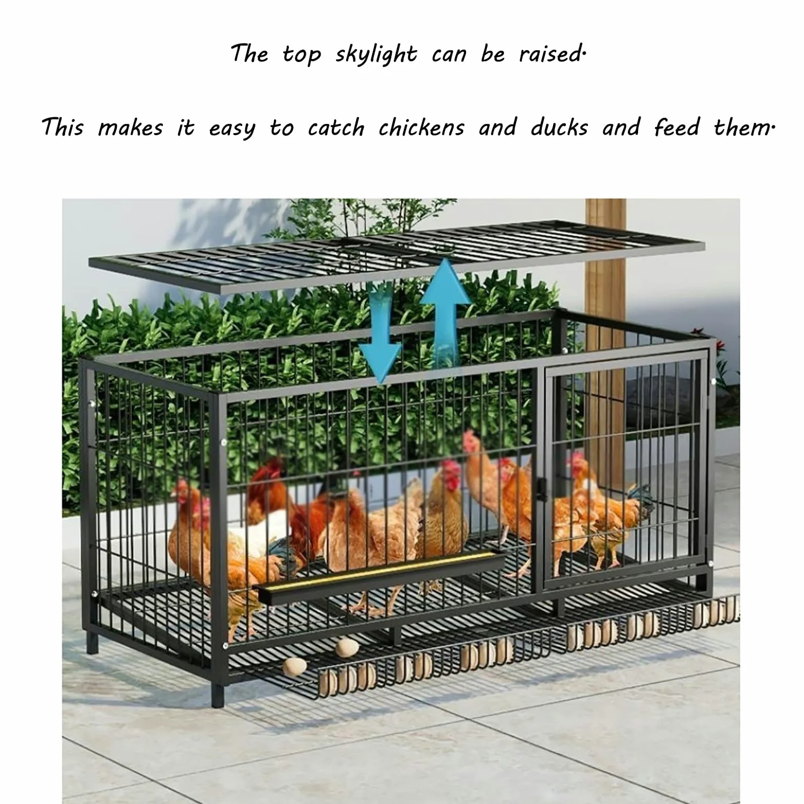 Gallinero con polea y nidales, Reforzado con Alambre de Acero Engrosado, Completamente Equipado, de fácil Montaje, Adecuado para Uso en Interior y Exterior.-M