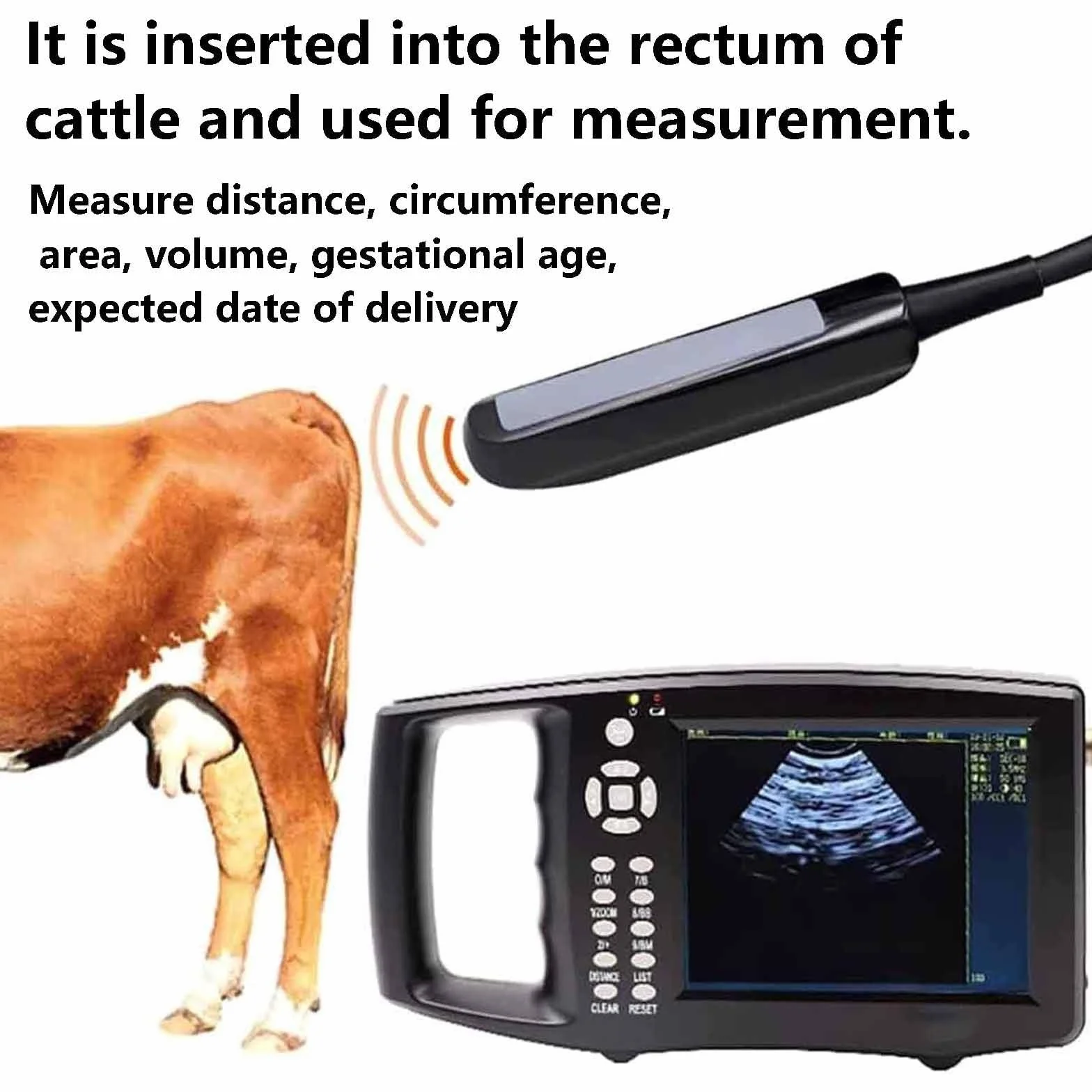 EscáNer De Ultrasonido PortáTil para Veterinaria con 6,5 MHz Rectal Sonda,Modo De VisualizacióN (B,M,BM, B+B, 4B),Pantalla HD 5,6 Pulgadas,para Ganado Vacuno,Equino,Camello en Animales