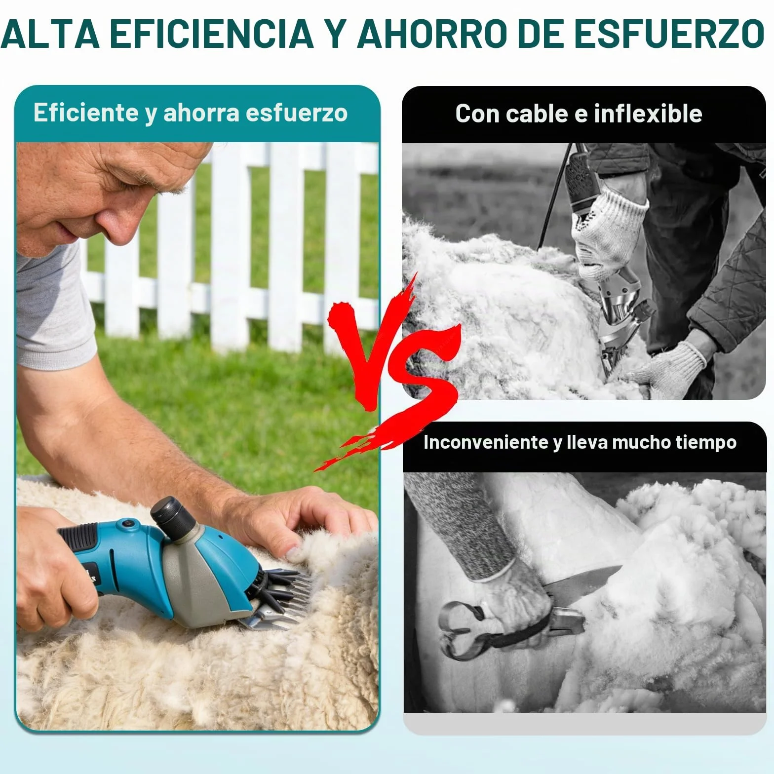 Yofidra Esquiladora de ovejas inalámbrica de 800 W - Esquiladora eléctrica con motor sin escobillas, 3000 RPM, 2 baterías de 3000 mAh, garra ajustable, ideal para ovejas, alpacas y cabras, azul