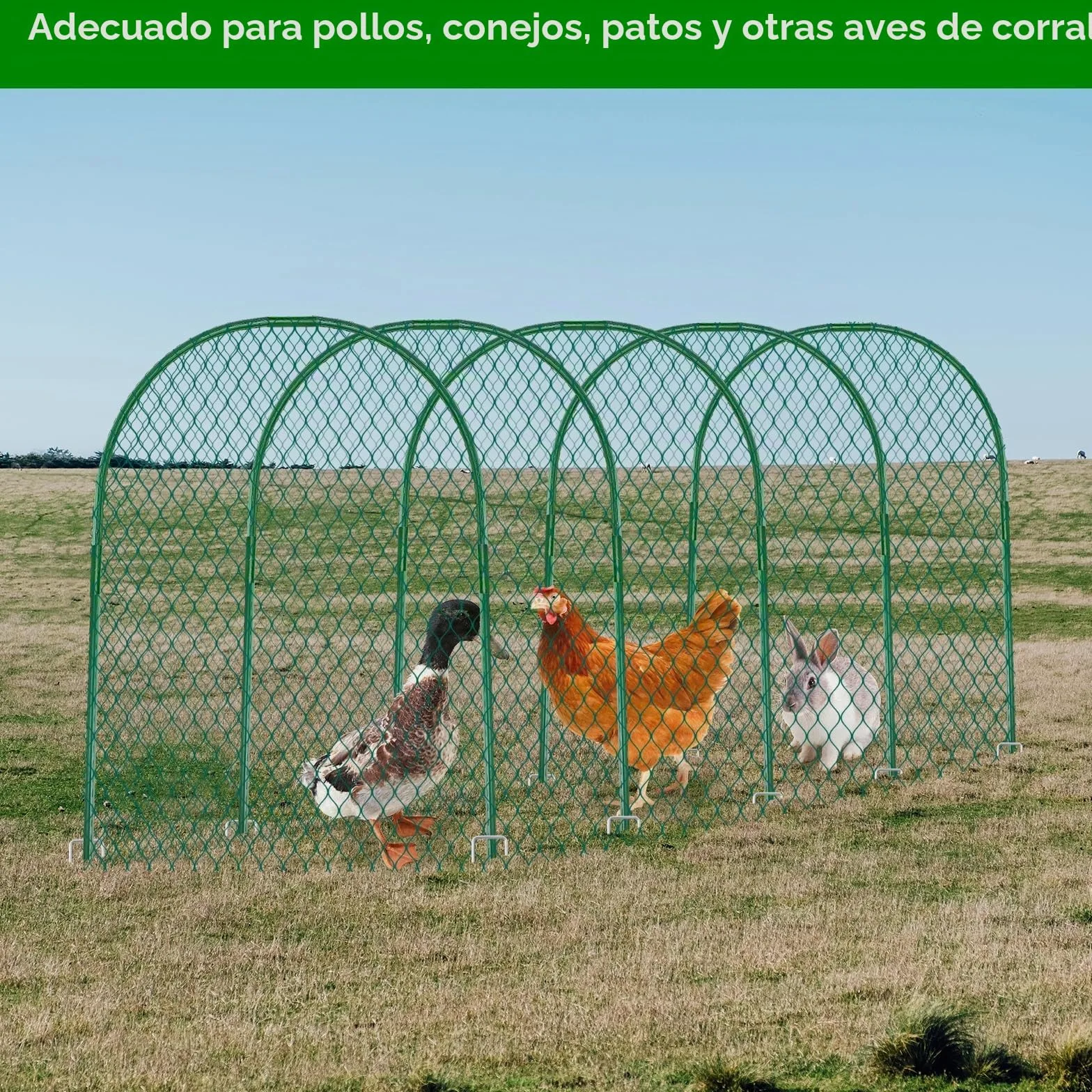 UNIFAMILY Túnel de Pollo, gallinero, 157 x 31 Pulgadas, túneles de Pollo para Patio Exterior, túnel de fácil instalación, Adecuado para Pollos, Patos, Conejos, Grandes, Color Verde