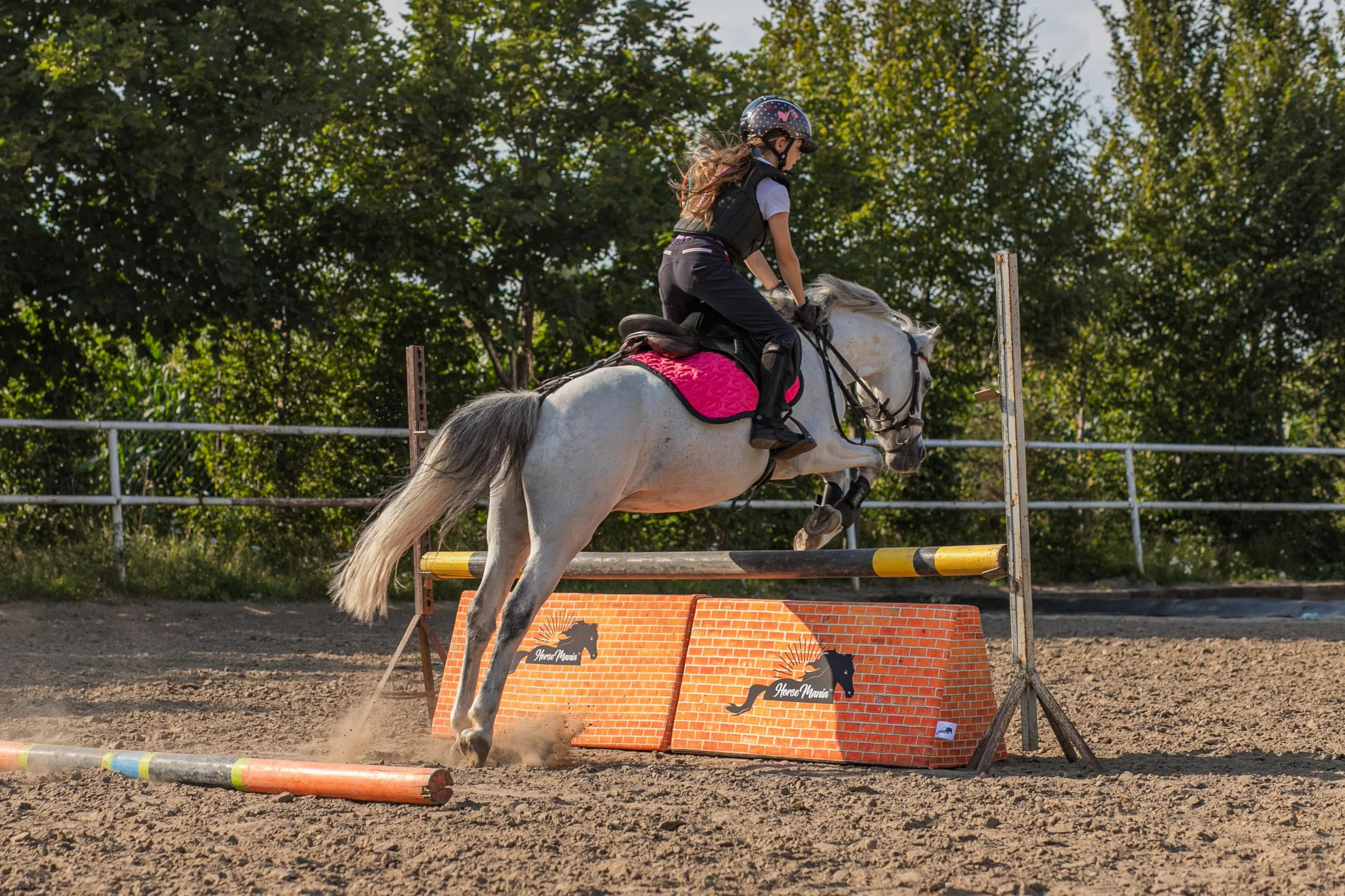 HorseMania Torneo Muro para Caballo – Pared de Espuma 110x40x50 Entrenamiento Rebote Movilidad