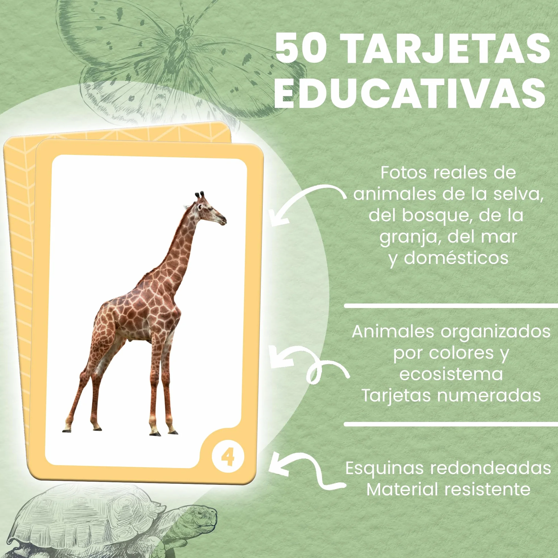 Mis Primeras Palabras Animales - 50 Tarjetas Montessori Animales Estimulación Temprana Lenguaje Bebés Niños 7 Idiomas
