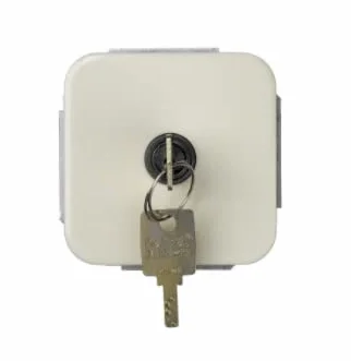 Simon 31520-31 - Conmutador/Pulsador A Llave
