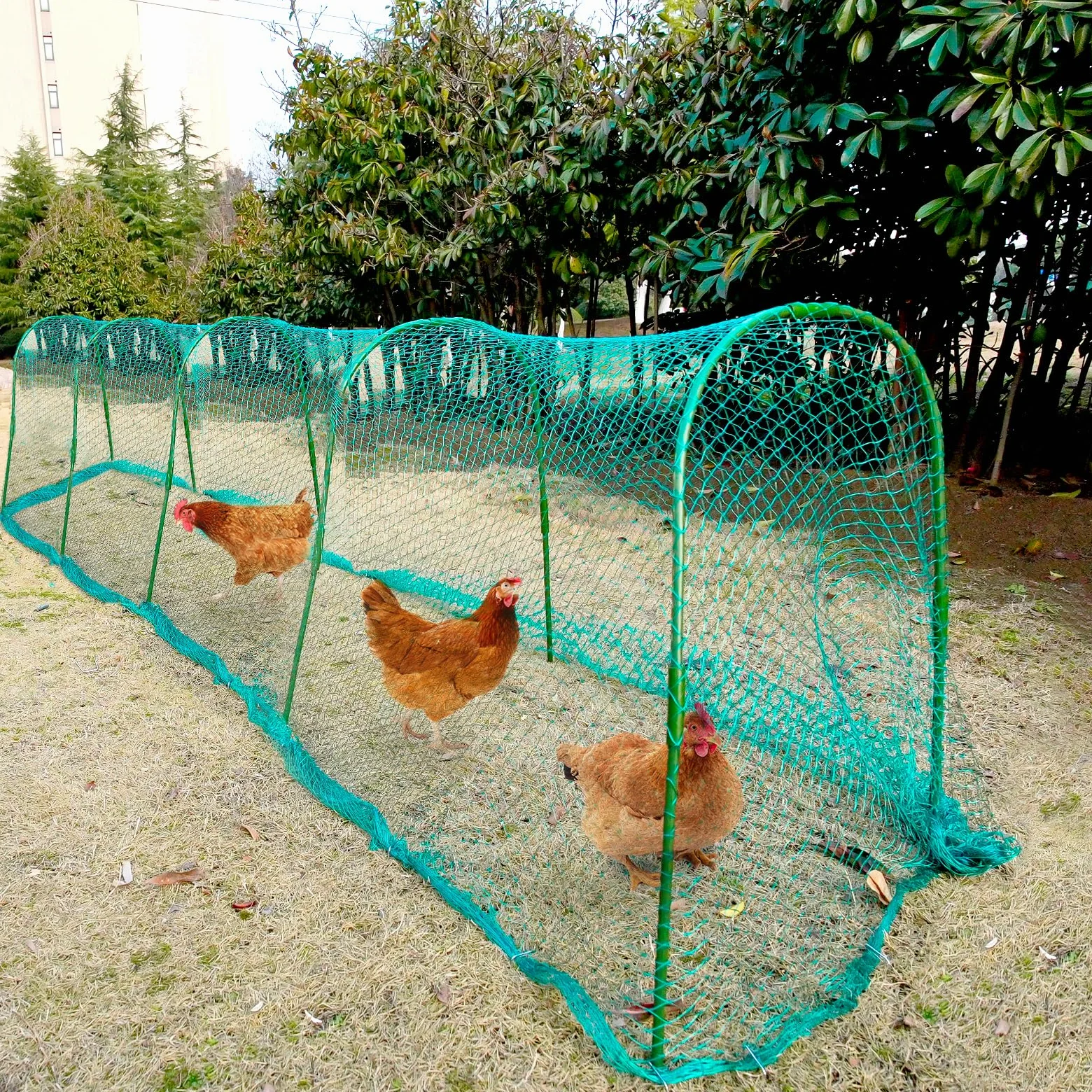 UNIFAMILY Túnel de Pollo, gallinero, 157 x 31 Pulgadas, túneles de Pollo para Patio Exterior, túnel de fácil instalación, Adecuado para Pollos, Patos, Conejos, Grandes, Color Verde