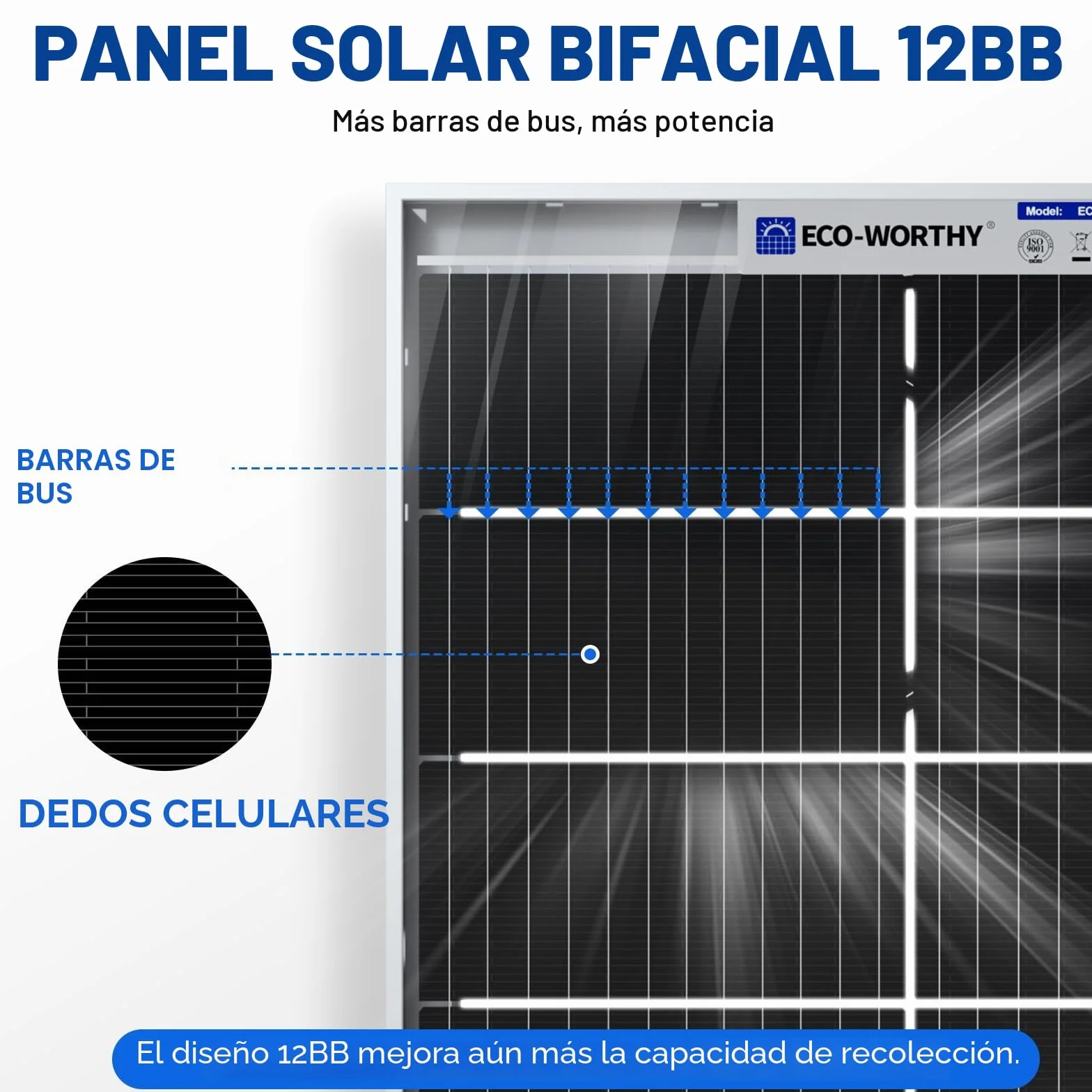ECO-WORTHY Panel solar monocristalino de 390 W, Bifacial placa solar 12 V, 2 paneles solares de 195 W, ideal para cargar baterías de 12 V, para caravanas, jardines, barcos y techo de la casa