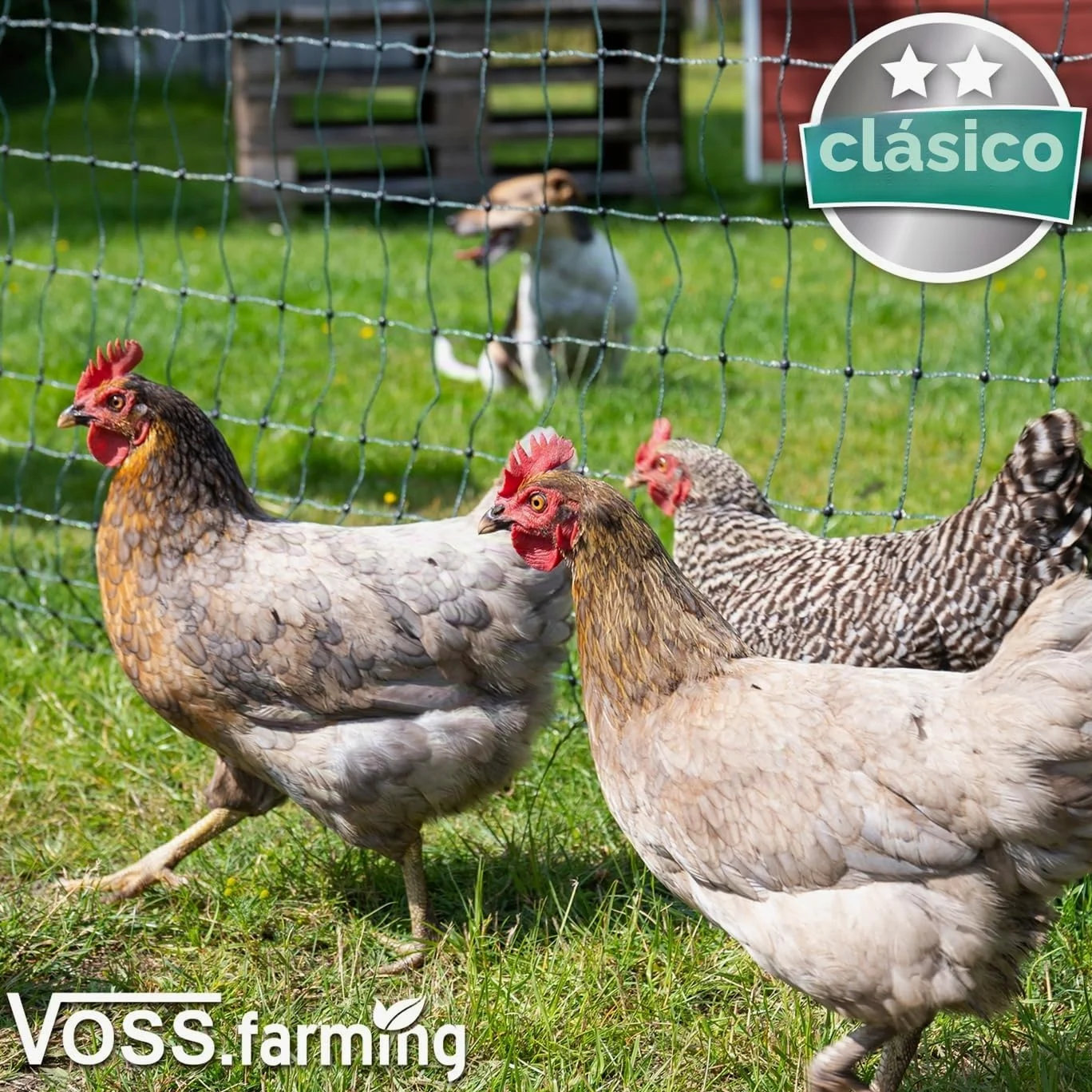 VOSS.farming Malla eléctrica para gallinas “farmNET”, Rollo de 25m de Longitud y 112cm de Altura, 9 Postes con Punta Doble y Kit de reparación