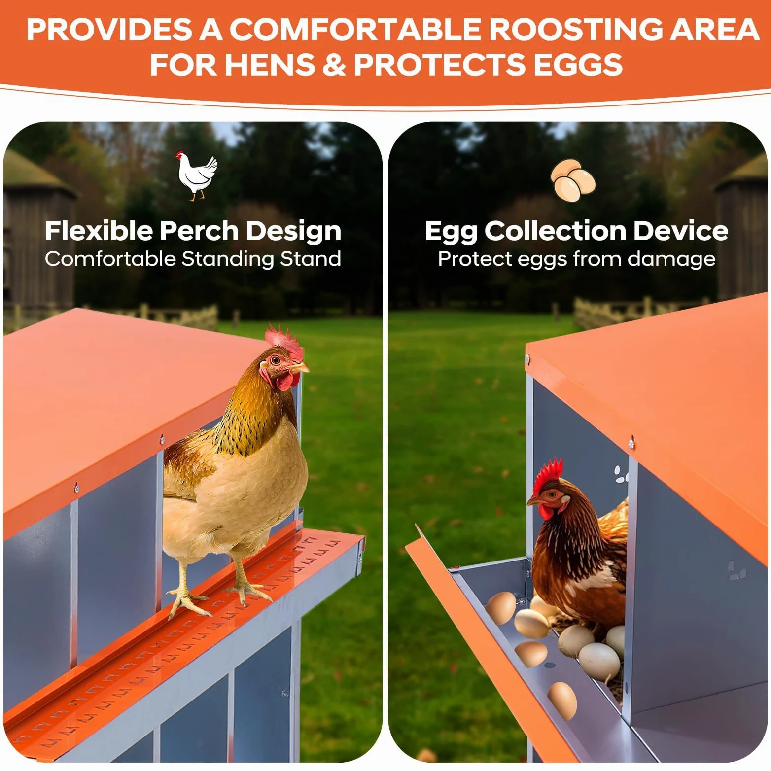 Garvee Caja de anidación de Pollos, Nido de 6 cámaras para Pollos, Soportes de plástico, Nido para gallinas, instalación montada en la Pared, fácil de Limpiar, ventilado, Duradero,Rojo