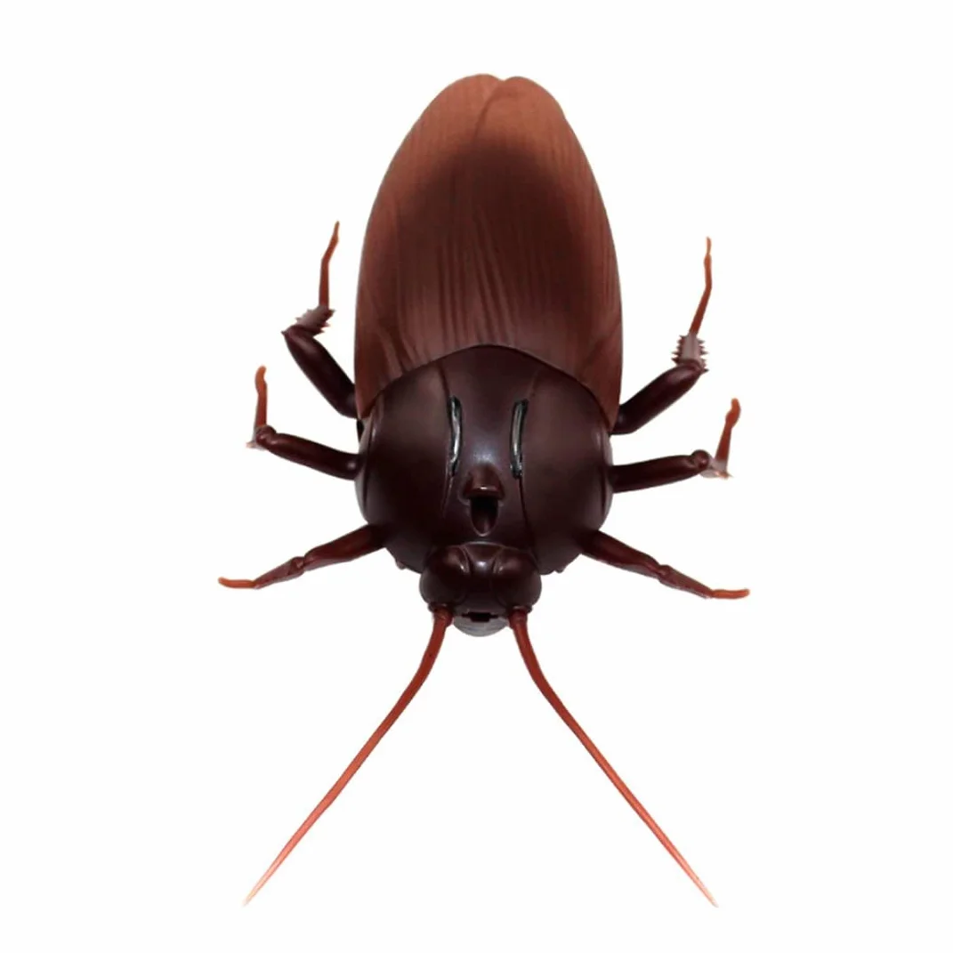 Cucaracha eléctrica RC Control Remoto Infrarrojos para niños Halloween