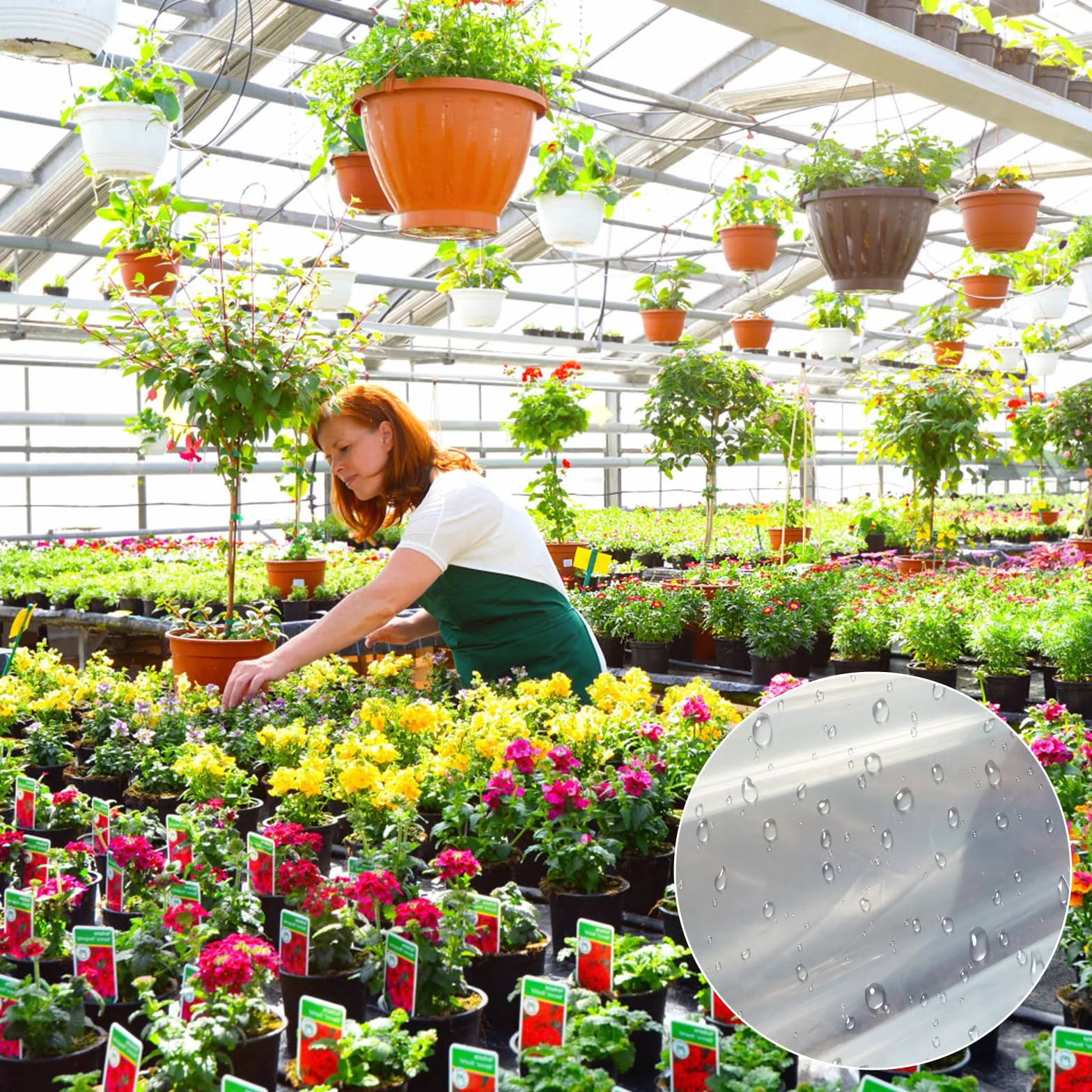 Película de Polietileno Extra Gruesa Transparente 2 x 4m 780g, Impermeable, Resistente al Desgarro para Jardinería y Protección