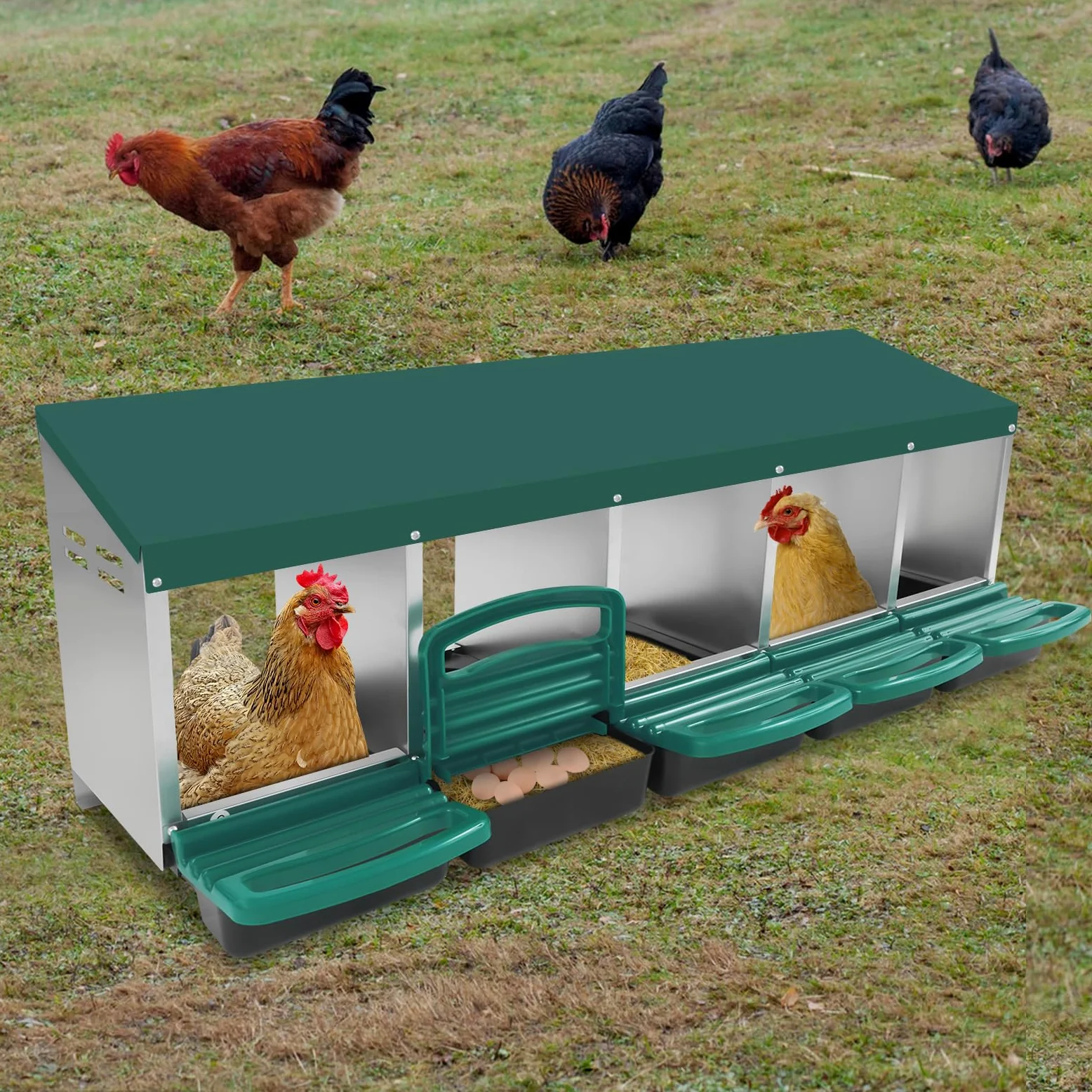 Nido para pollos, 5 compartimentos, nido de pollo de acero galvanizado y plástico, con pie en el suelo o en la pared, con toldo para gallinero y aves de corral